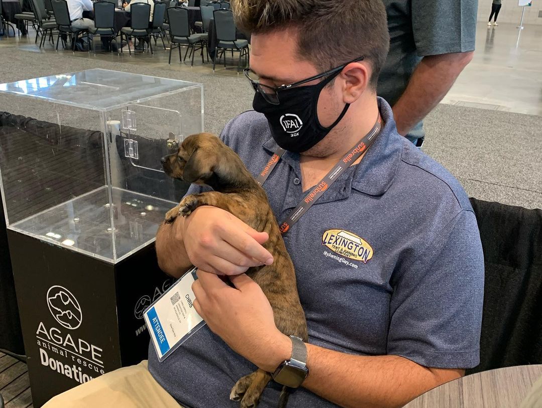 The Oz puppies & Mama Dorothy were absolutely spoiled with love and cuddles the past few days at our Pet A Puppy Booth 💕Thank you so much to @ifaiexpo for having us! A big shoutout to Twitchell Technical Products for the pet-safe flooring, @trinovahome for the pet stain remover spray, and @hcahealthcare for sending volunteers for all three days of this event! We all had a great time (especially the puppies) 🐶 <a target='_blank' href='https://www.instagram.com/explore/tags/IFAIExpo/'>#IFAIExpo</a> <a target='_blank' href='https://www.instagram.com/explore/tags/trinovajunkie/'>#trinovajunkie</a> <a target='_blank' href='https://www.instagram.com/explore/tags/trinovapets/'>#trinovapets</a>