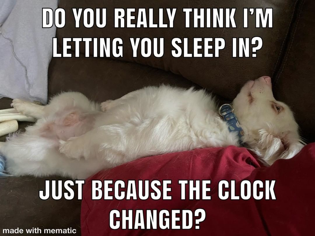 Daylight Saving Time has ended! Did your pets let you sleep in today? Post 💤 if yes and 🐈 (or your favorite pet emoji) if not.