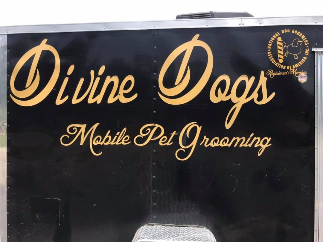 Thank you Divine Dogs Mobile Pet Grooming for your services! This company graciously donated its time to the HSMC. Message them for any of your mobile grooming needs! Brady and Alice are so paw-some! 🐾🎉🐾