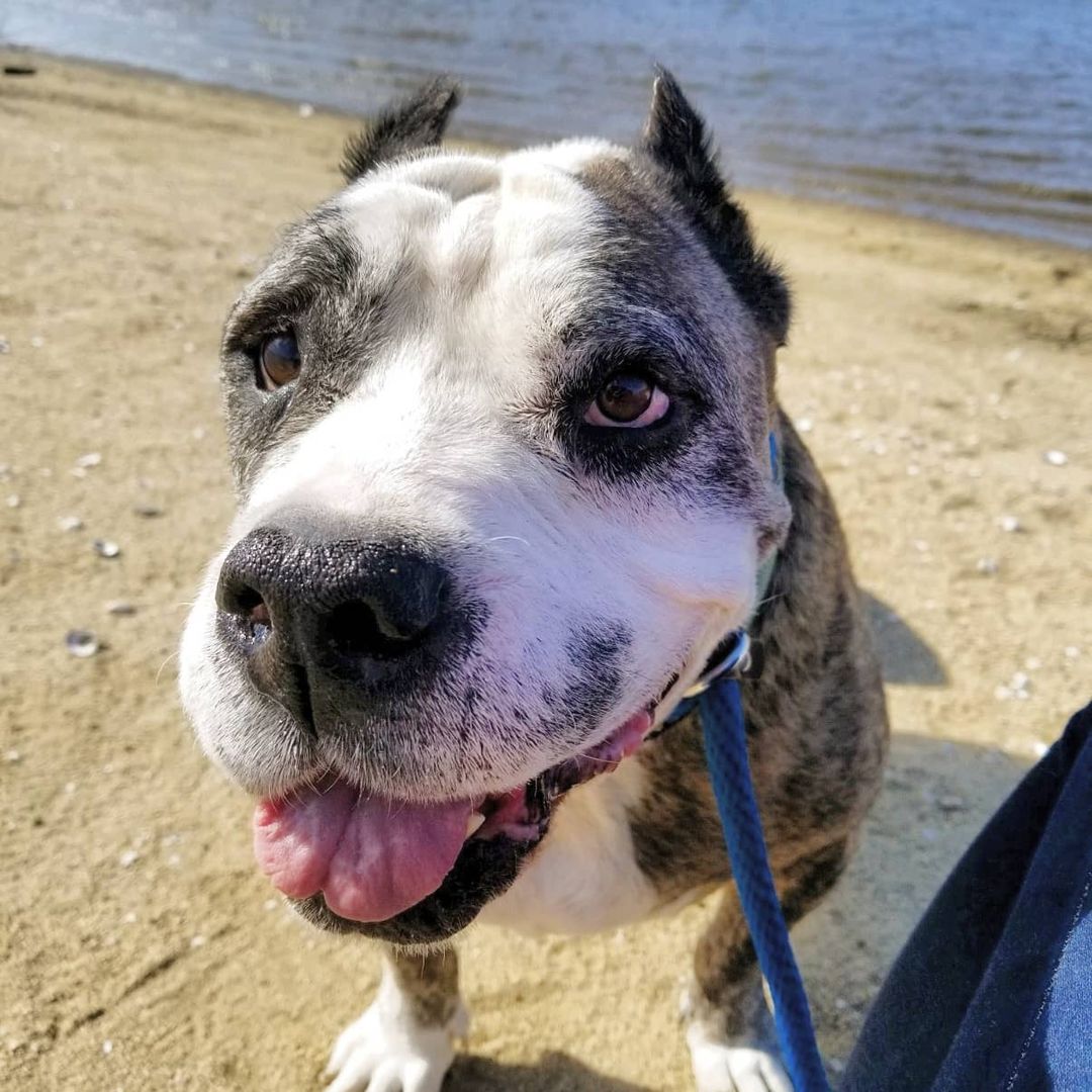 Old Man Norman went on a field trip to the lake today and had so much fun!