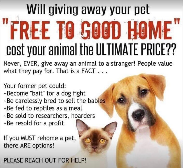 If you ever need to rehome your animal companions - please be responsible! Their lives are at stake...
Kijiji and other social media sites are not the place - reach out to a rescue or a no kill shelter in your area.
Ask about their adoption process! And if you can afford a surrender fee, it helps to pay for vetting and for providing food and supplies.
Make sure to be honest with the rescue about any medical or behavioural concerns your animal has - it helps us make the best possible fostering and adoption match