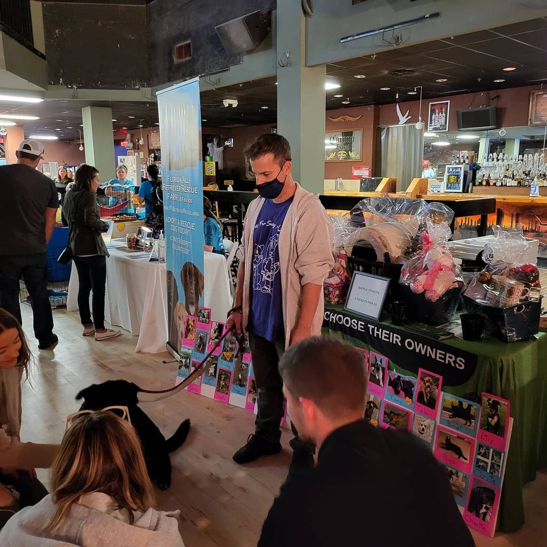 Thank you again to all the Fosters & foster parents that came out for this great adoption event. It's really great getting back to the norm where we have normal adoption events...it helps the dogs get adopted easier for people to see them in person. Thank you too @3cs_catering @thenewbarkerdogmagazine @thedallasbull for sponsoring this amaxing event