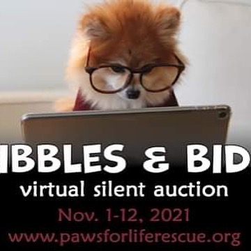 The second annual Kibbles & Bids virtual silent auction is open now until Nov. 12 at 8 pm ET.  Bid by text or on the <a target='_blank' href='https://www.instagram.com/explore/tags/auction/'>#auction</a> site, link in bio. There’s something for everyone plus lots of holiday gift options and stocking stuffers. <a target='_blank' href='https://www.instagram.com/explore/tags/silentauction/'>#silentauction</a> <a target='_blank' href='https://www.instagram.com/explore/tags/virtualauction/'>#virtualauction</a> <a target='_blank' href='https://www.instagram.com/explore/tags/virtualauctions/'>#virtualauctions</a> <a target='_blank' href='https://www.instagram.com/explore/tags/adoptdontshop/'>#adoptdontshop</a> <a target='_blank' href='https://www.instagram.com/explore/tags/pawsforlife/'>#pawsforlife</a> <a target='_blank' href='https://www.instagram.com/explore/tags/fundraiser/'>#fundraiser</a> <a target='_blank' href='https://www.instagram.com/explore/tags/bids/'>#bids</a> <a target='_blank' href='https://www.instagram.com/explore/tags/pets/'>#pets</a>  <a target='_blank' href='https://www.instagram.com/explore/tags/michigan/'>#michigan</a>