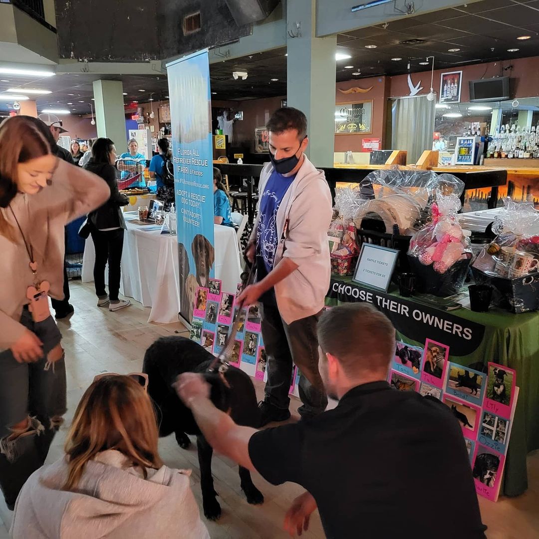 Thank you again to all the Fosters & foster parents that came out for this great adoption event. It's really great getting back to the norm where we have normal adoption events...it helps the dogs get adopted easier for people to see them in person. Thank you too @3cs_catering @thenewbarkerdogmagazine @thedallasbull for sponsoring this amaxing event