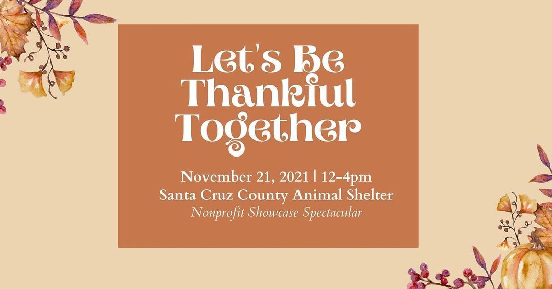 We are so excited to host this nonprofit spotlight event at the Santa Cruz County Animal Shelter on Sunday, November 21st!!

Visit the Shelter and enjoy food from @areperia831, music from the Ava Grace Trio, and fun activities from 30+ wonderful nonprofit groups that do amazing work in our community everyday. Mark your calendar, you won't want to miss this free event!