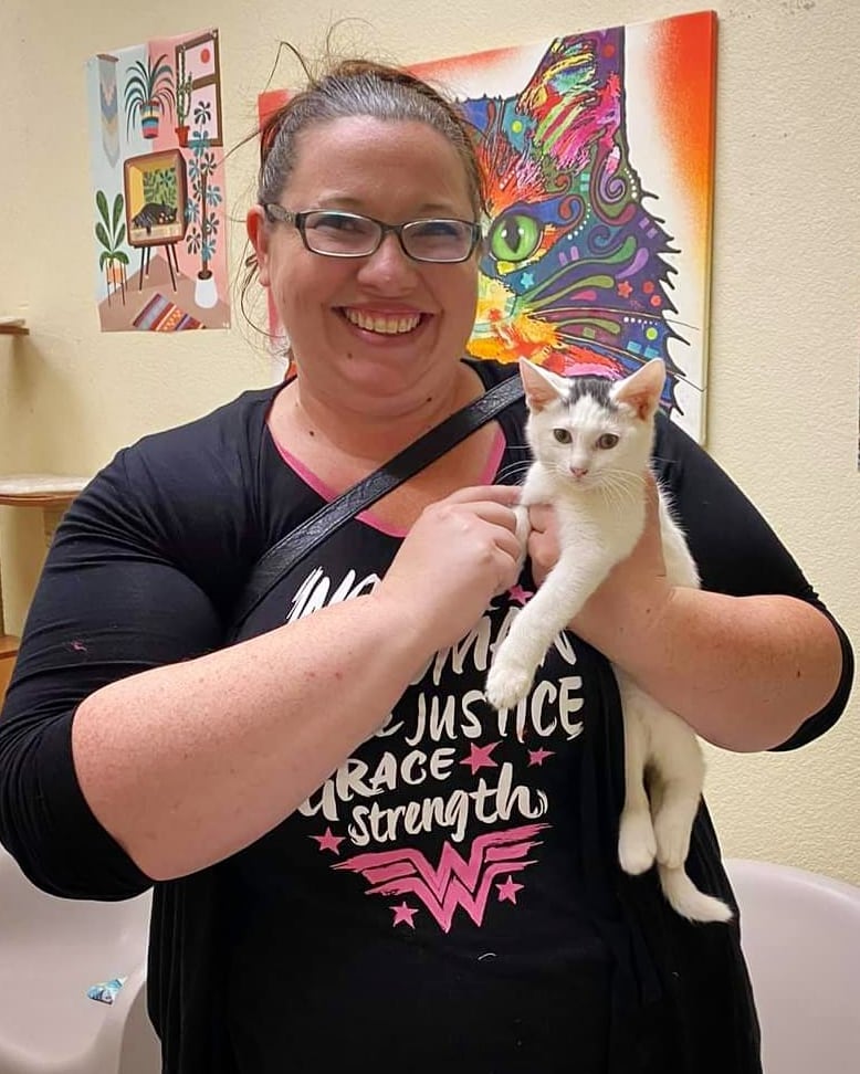 🏡 What an awesome week of adoptions! So many deserving furbabies found their FURever families that this post is only Part One 🎉🐱🐶🐈🐕

1) Elvis the kitten has left the building 
2 + 3) McPickle the baby panther went home together with his mama Darby Doodle Bug the pantherette 
4) Creampuff Pastry the kitten 
5) Strawberry the kitten 
6) Daffodil the kitten 
7) Cindy the puppy 
8) Storm the Lab 
9) Nancy the puppy 
10) And...one of our favorite Halloween vampurr models, Swirly Whirly the senior American Shorthair 

Congratulations to all the new families 🎉
Stay tuned for Part Two!

A huge Thank You to our fosters, volunteers, staff, supporters and especially our adopters who make all this happiness possible and help us save lives 🙏🏼🙏🏼🙏🏼
We love you ❤

<a target='_blank' href='https://www.instagram.com/explore/tags/allaboutanimalsrescueaz/'>#allaboutanimalsrescueaz</a> <a target='_blank' href='https://www.instagram.com/explore/tags/savealife/'>#savealife</a> <a target='_blank' href='https://www.instagram.com/explore/tags/compassioninaction/'>#compassioninaction</a> <a target='_blank' href='https://www.instagram.com/explore/tags/fosteringsaveslives/'>#fosteringsaveslives</a> <a target='_blank' href='https://www.instagram.com/explore/tags/adoptdontshop/'>#adoptdontshop</a> <a target='_blank' href='https://www.instagram.com/explore/tags/rescuedismyfavoritebreed/'>#rescuedismyfavoritebreed</a> <a target='_blank' href='https://www.instagram.com/explore/tags/rescuefosteradopt/'>#rescuefosteradopt</a> <a target='_blank' href='https://www.instagram.com/explore/tags/ifoundmyfureverhome/'>#ifoundmyfureverhome</a> <a target='_blank' href='https://www.instagram.com/explore/tags/homesweethome/'>#homesweethome</a> <a target='_blank' href='https://www.instagram.com/explore/tags/happyeverafter/'>#happyeverafter</a> <a target='_blank' href='https://www.instagram.com/explore/tags/happytails/'>#happytails</a> <a target='_blank' href='https://www.instagram.com/explore/tags/fureverhome/'>#fureverhome</a> <a target='_blank' href='https://www.instagram.com/explore/tags/supportrescue/'>#supportrescue</a> <a target='_blank' href='https://www.instagram.com/explore/tags/fromthestreetstothesheets/'>#fromthestreetstothesheets</a> <a target='_blank' href='https://www.instagram.com/explore/tags/weloveouradopters/'>#weloveouradopters</a> <a target='_blank' href='https://www.instagram.com/explore/tags/gratitude/'>#gratitude</a> <a target='_blank' href='https://www.instagram.com/explore/tags/thankful/'>#thankful</a> <a target='_blank' href='https://www.instagram.com/explore/tags/rescueworks/'>#rescueworks</a> <a target='_blank' href='https://www.instagram.com/explore/tags/rescuepetsrock/'>#rescuepetsrock</a> <a target='_blank' href='https://www.instagram.com/explore/tags/thankyouforchoosingadoption/'>#thankyouforchoosingadoption</a> <a target='_blank' href='https://www.instagram.com/explore/tags/helpussavelives/'>#helpussavelives</a>