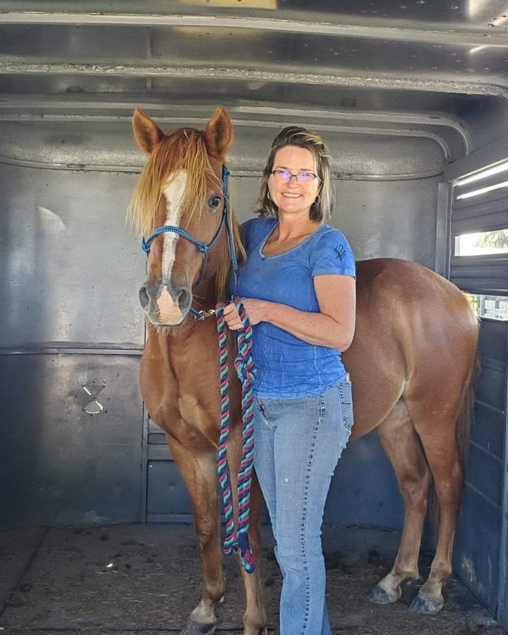 CONGRATULATIONS DORITO! Another one of our Pasos is going home! Dorito came in with a group of 30+ Paso Finos and went from feral to friendly in just 8 months thanks to the hard work of our equine team. He's headed to a great home that will continue his training under saddle! <a target='_blank' href='https://www.instagram.com/explore/tags/AdoptDontShop/'>#AdoptDontShop</a>