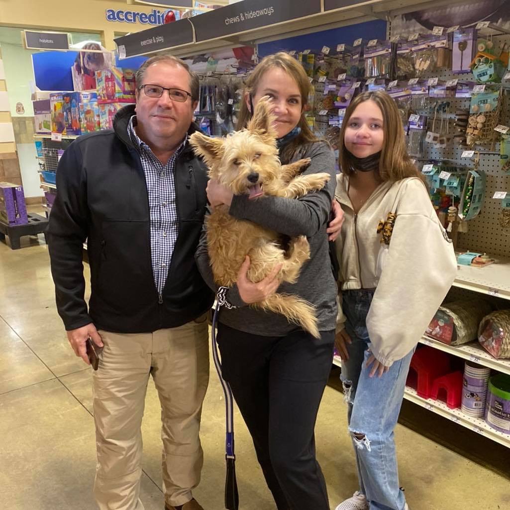 Winston found his forever home today! <a target='_blank' href='https://www.instagram.com/explore/tags/orphanannierescue/'>#orphanannierescue</a>