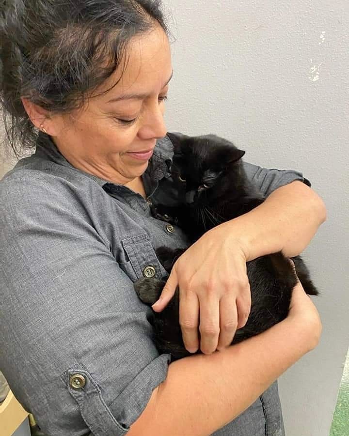 🏡 What an awesome week of adoptions! So many deserving furbabies found their FURever families that this post is only Part One 🎉🐱🐶🐈🐕

1) Elvis the kitten has left the building 
2 + 3) McPickle the baby panther went home together with his mama Darby Doodle Bug the pantherette 
4) Creampuff Pastry the kitten 
5) Strawberry the kitten 
6) Daffodil the kitten 
7) Cindy the puppy 
8) Storm the Lab 
9) Nancy the puppy 
10) And...one of our favorite Halloween vampurr models, Swirly Whirly the senior American Shorthair 

Congratulations to all the new families 🎉
Stay tuned for Part Two!

A huge Thank You to our fosters, volunteers, staff, supporters and especially our adopters who make all this happiness possible and help us save lives 🙏🏼🙏🏼🙏🏼
We love you ❤

<a target='_blank' href='https://www.instagram.com/explore/tags/allaboutanimalsrescueaz/'>#allaboutanimalsrescueaz</a> <a target='_blank' href='https://www.instagram.com/explore/tags/savealife/'>#savealife</a> <a target='_blank' href='https://www.instagram.com/explore/tags/compassioninaction/'>#compassioninaction</a> <a target='_blank' href='https://www.instagram.com/explore/tags/fosteringsaveslives/'>#fosteringsaveslives</a> <a target='_blank' href='https://www.instagram.com/explore/tags/adoptdontshop/'>#adoptdontshop</a> <a target='_blank' href='https://www.instagram.com/explore/tags/rescuedismyfavoritebreed/'>#rescuedismyfavoritebreed</a> <a target='_blank' href='https://www.instagram.com/explore/tags/rescuefosteradopt/'>#rescuefosteradopt</a> <a target='_blank' href='https://www.instagram.com/explore/tags/ifoundmyfureverhome/'>#ifoundmyfureverhome</a> <a target='_blank' href='https://www.instagram.com/explore/tags/homesweethome/'>#homesweethome</a> <a target='_blank' href='https://www.instagram.com/explore/tags/happyeverafter/'>#happyeverafter</a> <a target='_blank' href='https://www.instagram.com/explore/tags/happytails/'>#happytails</a> <a target='_blank' href='https://www.instagram.com/explore/tags/fureverhome/'>#fureverhome</a> <a target='_blank' href='https://www.instagram.com/explore/tags/supportrescue/'>#supportrescue</a> <a target='_blank' href='https://www.instagram.com/explore/tags/fromthestreetstothesheets/'>#fromthestreetstothesheets</a> <a target='_blank' href='https://www.instagram.com/explore/tags/weloveouradopters/'>#weloveouradopters</a> <a target='_blank' href='https://www.instagram.com/explore/tags/gratitude/'>#gratitude</a> <a target='_blank' href='https://www.instagram.com/explore/tags/thankful/'>#thankful</a> <a target='_blank' href='https://www.instagram.com/explore/tags/rescueworks/'>#rescueworks</a> <a target='_blank' href='https://www.instagram.com/explore/tags/rescuepetsrock/'>#rescuepetsrock</a> <a target='_blank' href='https://www.instagram.com/explore/tags/thankyouforchoosingadoption/'>#thankyouforchoosingadoption</a> <a target='_blank' href='https://www.instagram.com/explore/tags/helpussavelives/'>#helpussavelives</a>