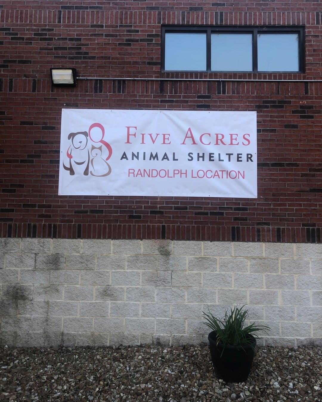 Five Acres Randolph got an awesome new banner for the outside of the building! ❤

The grand reopening of the Randolph facility is happening this Tuesday 11/9, and we already have several dogs and cats (like Greg and Mica!) available for adoption at this location!

You can see all of our adoptable animals here, just check which Five Acres building they're located at before visiting: fiveacresanimalshelter.org/adopt 🐾