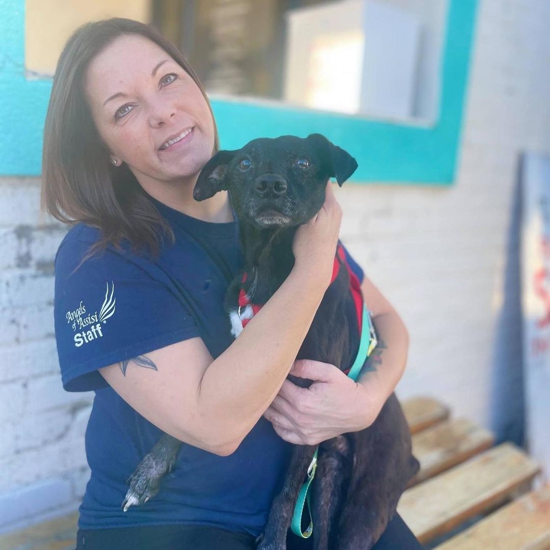 We welcomed 6 new smiling faces to our Adoption Center this past weekend! Sweet Thanos and Hager are two loving boys who were transferred to us from the Regional Center for Animal Care & Protection. RCACP was reaching capacity, and we are so thankful we had the space to take in these sweethearts. Once they get their intake exams completed, they will be ready for their forever homes.