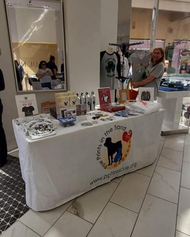 We had a wonderful adoption event this past weekend at Blue Nile in Fashion Island! We are so grateful for their support in hosting us. It’s always fun to introduce our pets to a new crowd who may not have known about them otherwise and to continue to educate and inform about animal rescue and pet adoption. 

Thanks again to Blue Nile. 💙🙏🏼Look out for the gold paw print necklace they donated! It’ll be in our online holiday auction. 🐾💙 @fashionisland @bluenilediamond <a target='_blank' href='https://www.instagram.com/explore/tags/adoptdontshop/'>#adoptdontshop</a> <a target='_blank' href='https://www.instagram.com/explore/tags/adoptionevent/'>#adoptionevent</a> <a target='_blank' href='https://www.instagram.com/explore/tags/diamondsanddogs/'>#diamondsanddogs</a> <a target='_blank' href='https://www.instagram.com/explore/tags/animalrescue/'>#animalrescue</a> <a target='_blank' href='https://www.instagram.com/explore/tags/PPITS/'>#PPITS</a> <a target='_blank' href='https://www.instagram.com/explore/tags/rescueismyfavoritebreed/'>#rescueismyfavoritebreed</a> <a target='_blank' href='https://www.instagram.com/explore/tags/rescuedogsofinstagram/'>#rescuedogsofinstagram</a>