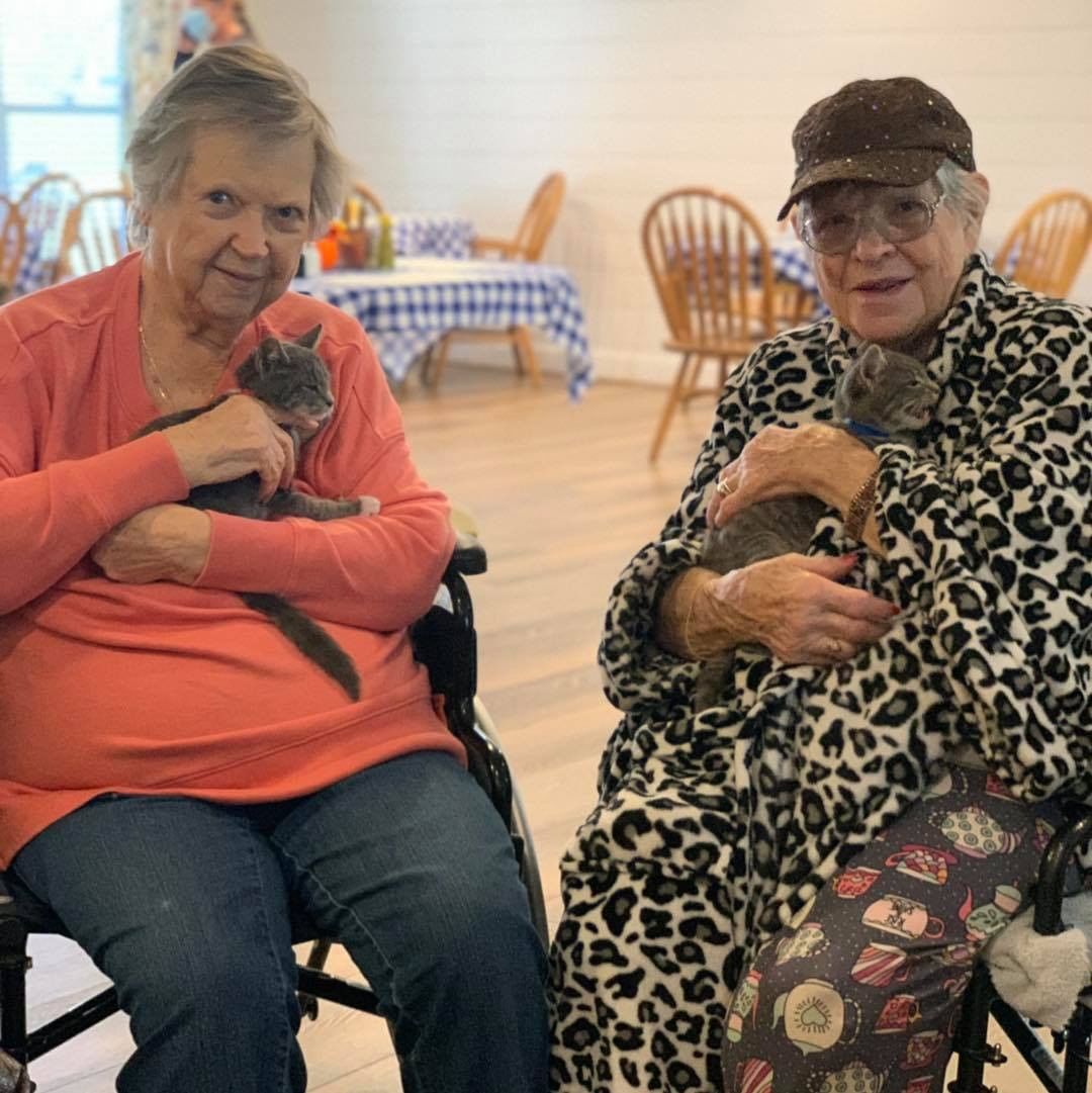 Another great day at Maplewood Lane Assisted Living! Thank you ladies for letting us bring some furry friends to visit. Everyone enjoyed the visit and we can't wait to come again next month. 

Visit https://www.shelbyhumane.org/volunteer to learn more about volunteer opportunities and outreach programs with Shelby Humane!