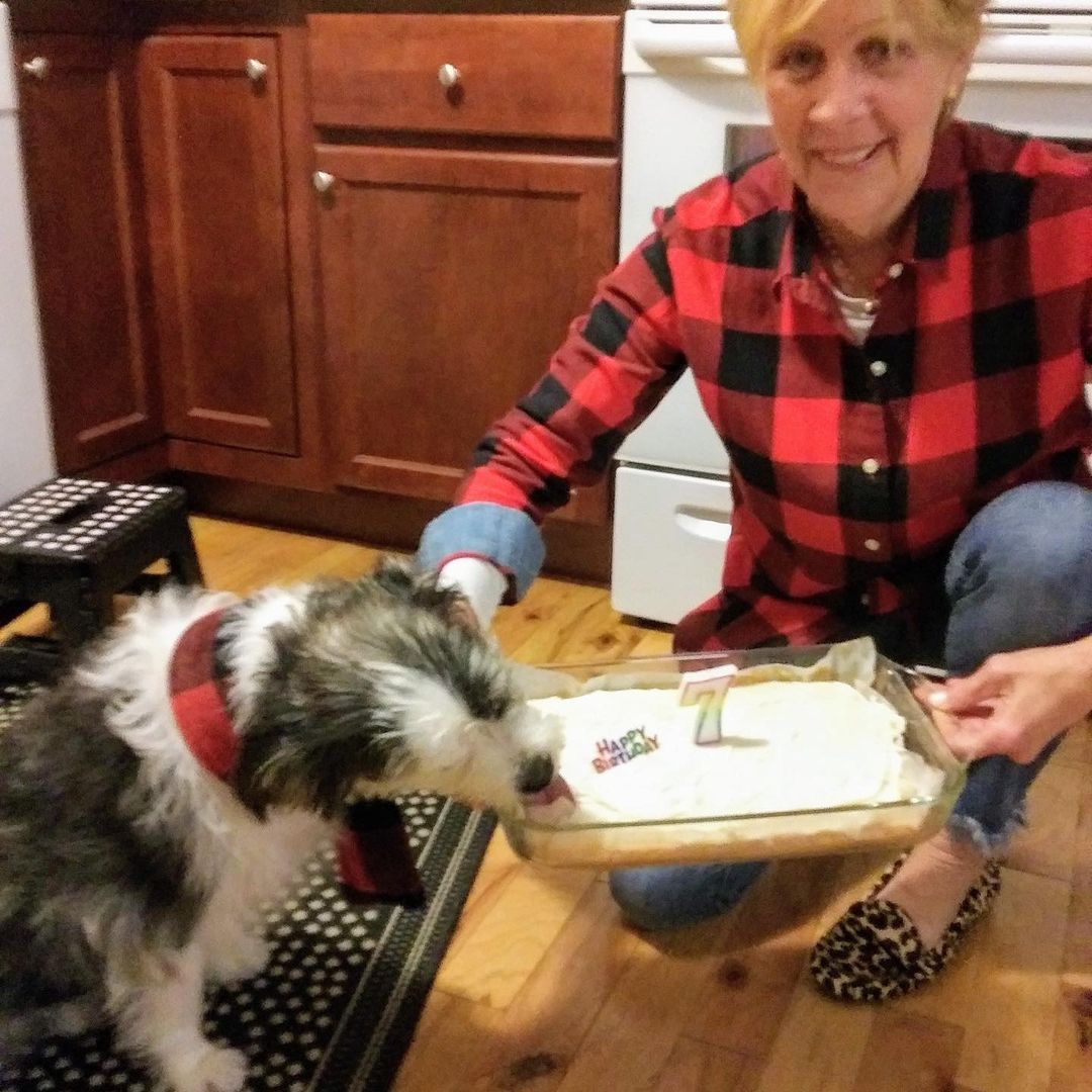 This was Jake's Birthday celebration! He's 3 years with his new mom! And according to his mom, Jake only has 1 piece of cake!
 