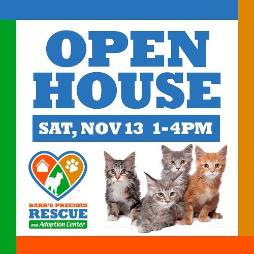 Our open house is just SIX days away! We hope to see many of you next Saturday afternoon!

We are excited to offer guided tours of the facility we are so proud of.  We’ll show you what’s newly constructed, how things have changed and what is yet left to accomplish. We still need to raise another $250000 to complete the expansion so donations for the funding of Phase would be greatly appreciated! If interested, we still have naming sponsorships available so please ask. 

We look forward to seeing you next Saturday from 1-4pm. For more information: see FB event link https://fb.me/e/1eplZnSTc