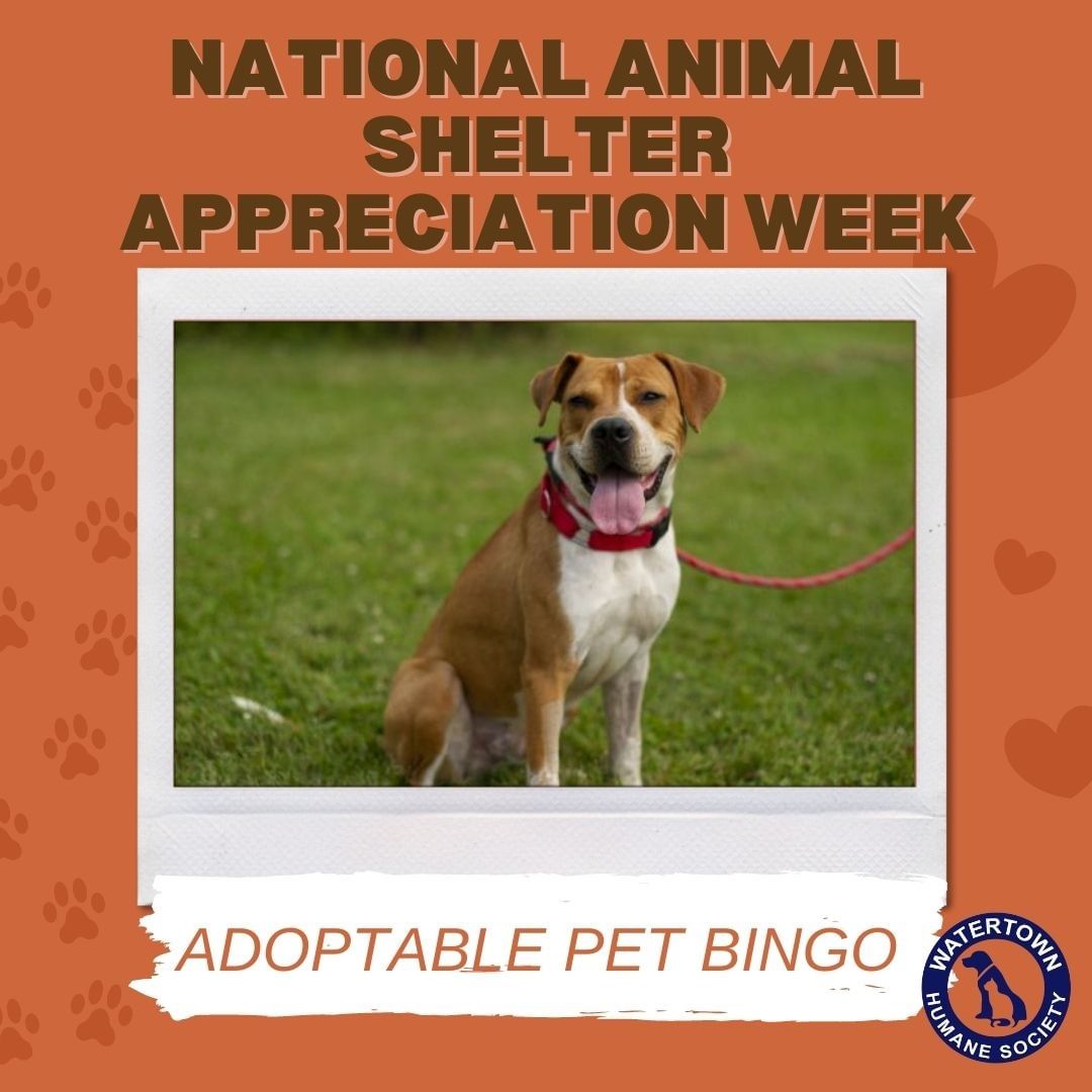 It's National Animal Shelter Appreciation Week and we would like to take this time to give a huge thanks to our employees and volunteers. Our shelter wouldn't continue to run as smoothly and successfully as it does without you all! THANK YOU!