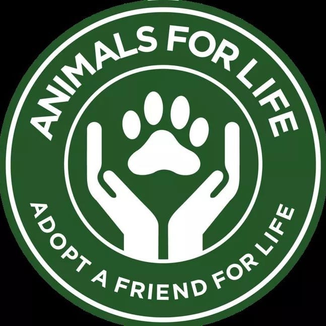 A special Thank You to Fosters and Ferals for highlighting Animals for Life as the donation # 294 rescue. <a target='_blank' href='https://www.instagram.com/explore/tags/fostersandferals/'>#fostersandferals</a> <a target='_blank' href='https://www.instagram.com/explore/tags/thankyoufromanimalsforlife/'>#thankyoufromanimalsforlife</a> <a target='_blank' href='https://www.instagram.com/explore/tags/rescue/'>#rescue</a> <a target='_blank' href='https://www.instagram.com/explore/tags/foster/'>#foster</a>