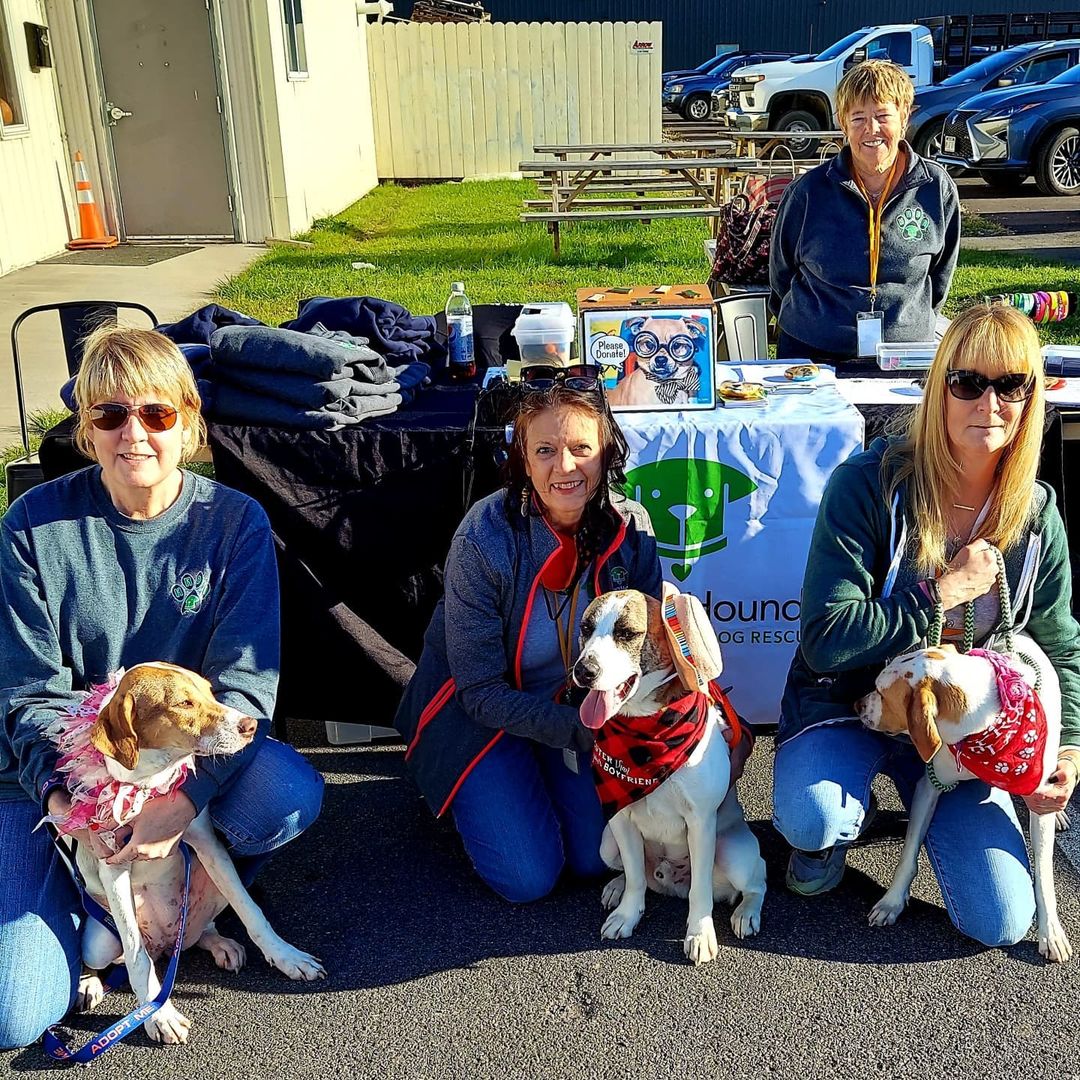 Sam, Jaycee & Willow had a blast meeting new friends at the @buriedacornbrewing Alpha Bender <a target='_blank' href='https://www.instagram.com/explore/tags/beer/'>#beer</a> release. They got to meet sweet Chewbacca, @petpartners therapy dog & winner of the label contest! Thanks to Buried Acorn for your support of <a target='_blank' href='https://www.instagram.com/explore/tags/helpinghounds/'>#helpinghounds</a>! 🍻