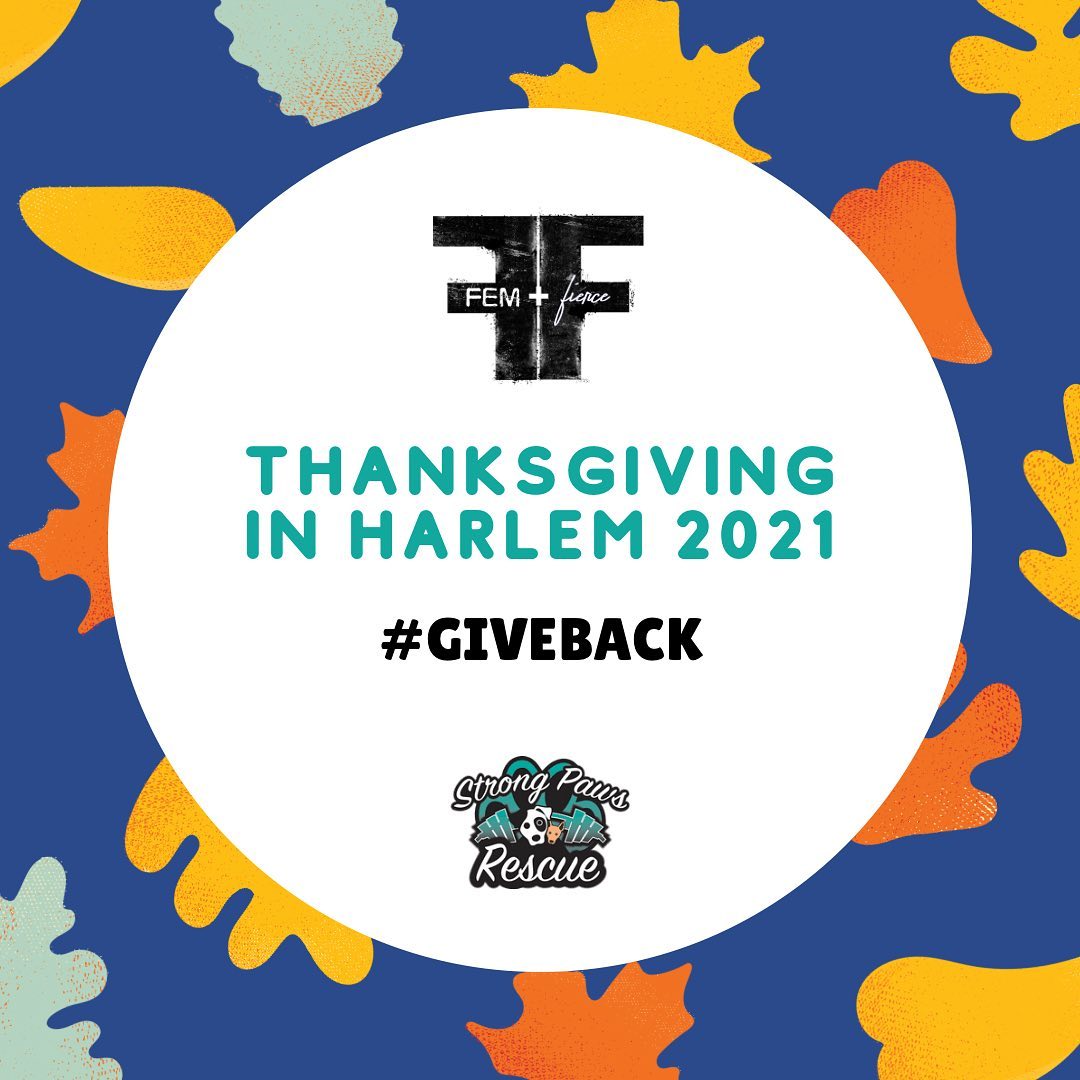 Our friends @femandfierce are spending their Thanksgiving morning in Harlem donating goods and supplies to local families in need!

You can help by clicking the donation drive link in our bio to send supplies. We are collecting small bags of animal food, canned food,  winter hats, gloves and socks. 

If you would like to donate animal food or supplies & you’re local to Westchester county, New York, goods can be dropped off at Choice Pet in Hartsdale.

Help make a difference in the lives of people and animals in our local community. 

<a target='_blank' href='https://www.instagram.com/explore/tags/strongpawsrescue/'>#strongpawsrescue</a> <a target='_blank' href='https://www.instagram.com/explore/tags/liftheavyrescuedogs/'>#liftheavyrescuedogs</a>  <a target='_blank' href='https://www.instagram.com/explore/tags/ohshitlegday/'>#ohshitlegday</a> <a target='_blank' href='https://www.instagram.com/explore/tags/quadsandcanines/'>#quadsandcanines</a> <a target='_blank' href='https://www.instagram.com/explore/tags/thickthighssavelives/'>#thickthighssavelives</a> <a target='_blank' href='https://www.instagram.com/explore/tags/communityoutreach/'>#communityoutreach</a> <a target='_blank' href='https://www.instagram.com/explore/tags/iheartoneonta/'>#iheartoneonta</a> <a target='_blank' href='https://www.instagram.com/explore/tags/fundraise/'>#fundraise</a> <a target='_blank' href='https://www.instagram.com/explore/tags/donate/'>#donate</a> <a target='_blank' href='https://www.instagram.com/explore/tags/advocacy/'>#advocacy</a> <a target='_blank' href='https://www.instagram.com/explore/tags/rescue/'>#rescue</a> <a target='_blank' href='https://www.instagram.com/explore/tags/animalrescue/'>#animalrescue</a> <a target='_blank' href='https://www.instagram.com/explore/tags/dog/'>#dog</a> <a target='_blank' href='https://www.instagram.com/explore/tags/adoptdontshop/'>#adoptdontshop</a> <a target='_blank' href='https://www.instagram.com/explore/tags/dogrescue/'>#dogrescue</a> <a target='_blank' href='https://www.instagram.com/explore/tags/newyork/'>#newyork</a> <a target='_blank' href='https://www.instagram.com/explore/tags/nyc/'>#nyc</a> <a target='_blank' href='https://www.instagram.com/explore/tags/oneonta/'>#oneonta</a> <a target='_blank' href='https://www.instagram.com/explore/tags/strength/'>#strength</a>  <a target='_blank' href='https://www.instagram.com/explore/tags/strengthathlete/'>#strengthathlete</a> <a target='_blank' href='https://www.instagram.com/explore/tags/lifter/'>#lifter</a> <a target='_blank' href='https://www.instagram.com/explore/tags/powerlifter/'>#powerlifter</a> <a target='_blank' href='https://www.instagram.com/explore/tags/strongman/'>#strongman</a> <a target='_blank' href='https://www.instagram.com/explore/tags/strongwoman/'>#strongwoman</a> <a target='_blank' href='https://www.instagram.com/explore/tags/gains/'>#gains</a> <a target='_blank' href='https://www.instagram.com/explore/tags/support/'>#support</a> <a target='_blank' href='https://www.instagram.com/explore/tags/rescuedogsofinstagram/'>#rescuedogsofinstagram</a> <a target='_blank' href='https://www.instagram.com/explore/tags/fosterdogsofinstagram/'>#fosterdogsofinstagram</a>