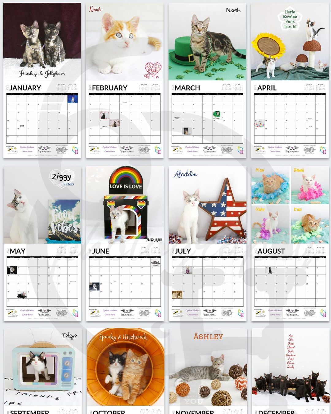 Hey supporters! We DO have the 2022 calendars in stock and for sale at the cat lounge. We are working to figure out when and how to get them sold. All proceeds go to our rescue efforts. 
Calendars are $20. Twelve months of 12x12 full color photos of some of our rescue kitties. 

Stay tuned for some of our open house hours so you can swing by and pick one up. These make an excellent Christmas gift!