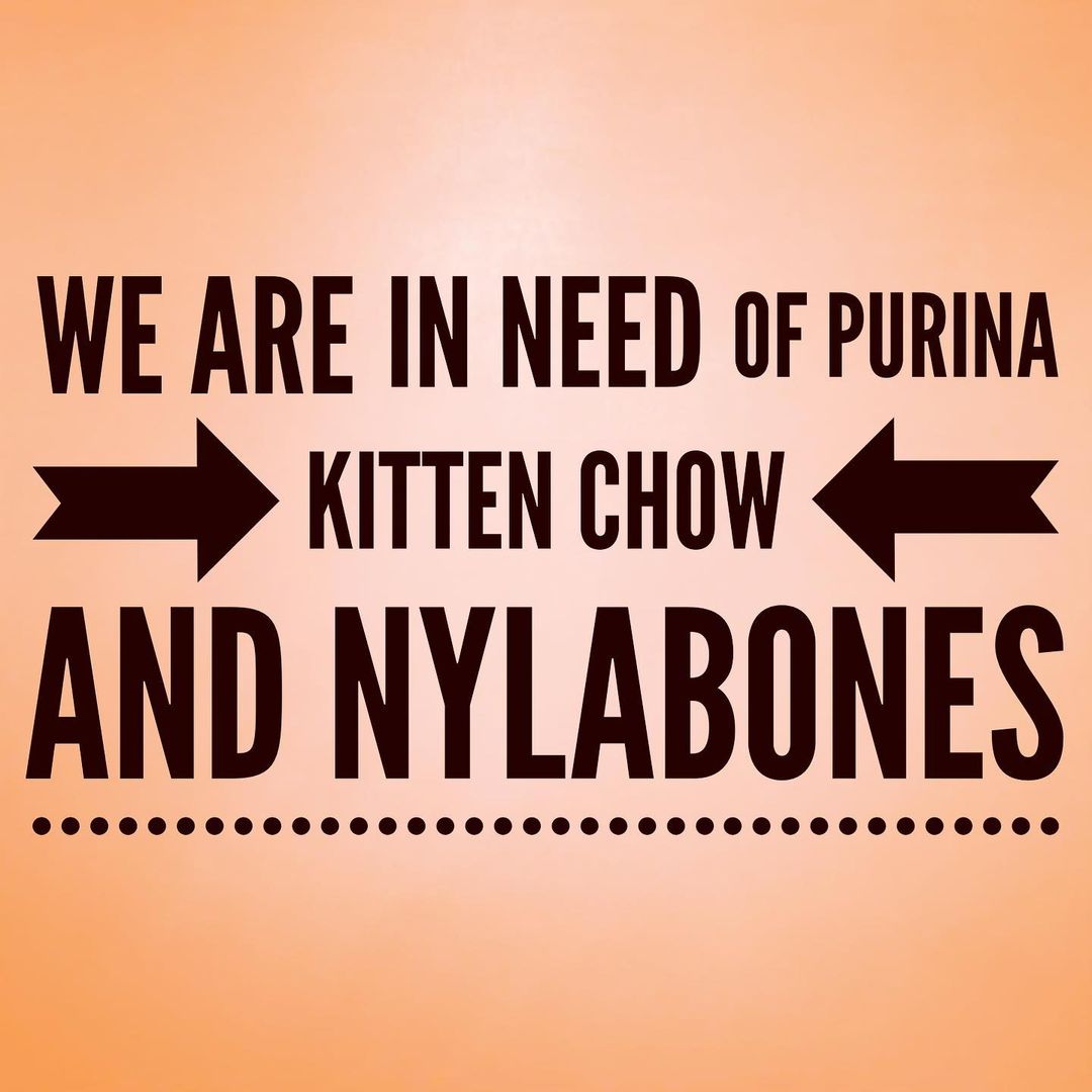 Donations can be dropped off at 212 Elm Street in Warren. You can also donate these items through our Chewy wishlist! The animals thank you 🧡