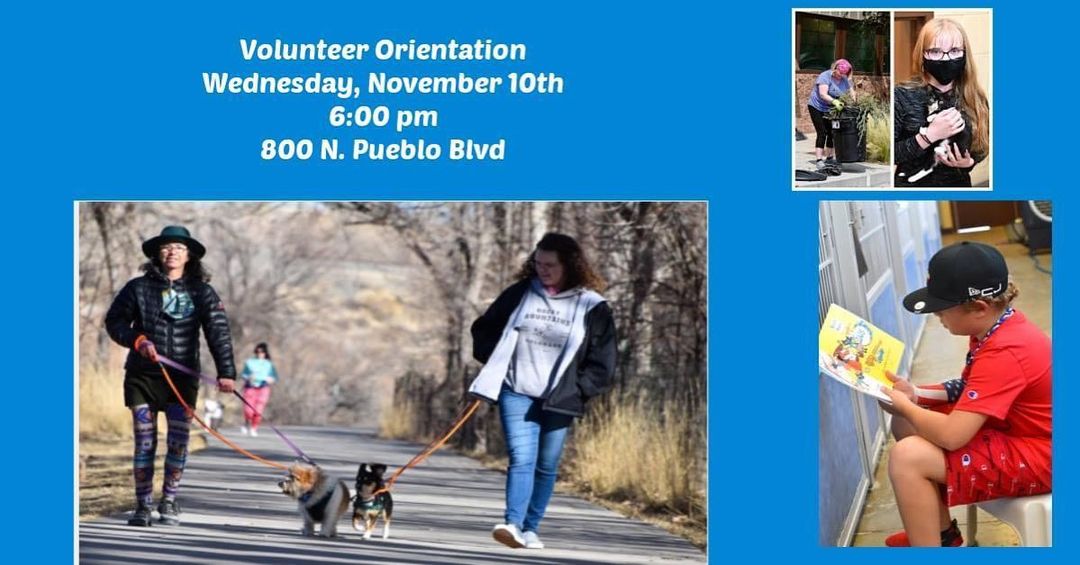 PAWS for Life Volunteer Orientation!
Volunteers make everything we do possible. Would you like to join our PAWS volunteer team? Please join us for the required Volunteer Orientation on Wednesday, November 10th at 6:00 pm.
Volunteer applications can be found on our website www. pawspueblo.org or at the shelter.

Once you attend our orientation we will find a volunteer position that is right for you. Pack Walk, socializing with the animals, playing with the dogs in the yard practicing basic commands, playing with cats, cleaning, filing, Home Checks, preparing treats and community service bags, Fostering, offsite events (Bingo), FUNdraising … the list goes on. There are many rewarding opportunities for everyone. <a target='_blank' href='https://www.instagram.com/explore/tags/pawsforlifepueblo/'>#pawsforlifepueblo</a> <a target='_blank' href='https://www.instagram.com/explore/tags/volunteer/'>#volunteer</a> 

Please email lisa@pawspueblo.org if you have any questions.
We hope to see you there!