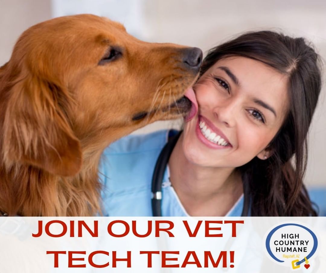 🚨 WE ARE HIRING! 🐾

High Country Humane is in search of a hard working, animal-loving person to join our Vet Tech Team! If you want to work in shelter medicine and have a passion for people & pets 👉 APPLY TODAY 👈

LINK TO JOB POSTING: www.facebook.com/job_opening/815767392210254/?source=share

<a target='_blank' href='https://www.instagram.com/explore/tags/adoptdontshop/'>#adoptdontshop</a> <a target='_blank' href='https://www.instagram.com/explore/tags/dog/'>#dog</a> <a target='_blank' href='https://www.instagram.com/explore/tags/dogsofinstagram/'>#dogsofinstagram</a> <a target='_blank' href='https://www.instagram.com/explore/tags/dogstagram/'>#dogstagram</a> <a target='_blank' href='https://www.instagram.com/explore/tags/instadog/'>#instadog</a> <a target='_blank' href='https://www.instagram.com/explore/tags/doglover/'>#doglover</a> <a target='_blank' href='https://www.instagram.com/explore/tags/cute/'>#cute</a> <a target='_blank' href='https://www.instagram.com/explore/tags/doglovers/'>#doglovers</a> <a target='_blank' href='https://www.instagram.com/explore/tags/doglife/'>#doglife</a> <a target='_blank' href='https://www.instagram.com/explore/tags/pets/'>#pets</a> <a target='_blank' href='https://www.instagram.com/explore/tags/dogsofinsta/'>#dogsofinsta</a> <a target='_blank' href='https://www.instagram.com/explore/tags/animals/'>#animals</a> <a target='_blank' href='https://www.instagram.com/explore/tags/doggy/'>#doggy</a> <a target='_blank' href='https://www.instagram.com/explore/tags/petstagram/'>#petstagram</a> <a target='_blank' href='https://www.instagram.com/explore/tags/petsofinstagram/'>#petsofinstagram</a> <a target='_blank' href='https://www.instagram.com/explore/tags/doglove/'>#doglove</a> <a target='_blank' href='https://www.instagram.com/explore/tags/adoptabledogsofinstagram/'>#adoptabledogsofinstagram</a> <a target='_blank' href='https://www.instagram.com/explore/tags/adoptabledogs/'>#adoptabledogs</a> <a target='_blank' href='https://www.instagram.com/explore/tags/rescuedogs/'>#rescuedogs</a> <a target='_blank' href='https://www.instagram.com/explore/tags/rescuedogsofinstagram/'>#rescuedogsofinstagram</a>  <a target='_blank' href='https://www.instagram.com/explore/tags/animalshelter/'>#animalshelter</a> <a target='_blank' href='https://www.instagram.com/explore/tags/animalrescue/'>#animalrescue</a> <a target='_blank' href='https://www.instagram.com/explore/tags/humanesociety/'>#humanesociety</a> <a target='_blank' href='https://www.instagram.com/explore/tags/highcountryhumane/'>#highcountryhumane</a> <a target='_blank' href='https://www.instagram.com/explore/tags/flagstaff/'>#flagstaff</a> <a target='_blank' href='https://www.instagram.com/explore/tags/flagstaffarizona/'>#flagstaffarizona</a> <a target='_blank' href='https://www.instagram.com/explore/tags/arizona/'>#arizona</a>