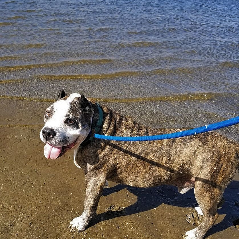 Old Man Norman went on a field trip to the lake today and had so much fun!