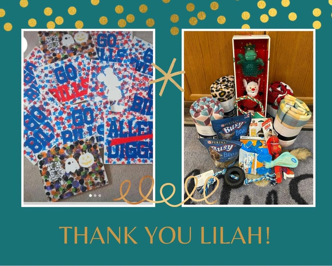 A special thank you to 10 year old Lilah who enjoys crafting and selling these paintings for $10 with all the proceeds to benefit 716 Paws!  She took all her hard earned money and went shopping for our foster pups!  Our dogs will be spoiled because of her. Thank you Lilah! 🥰🐾