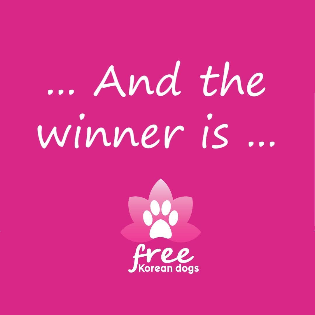 **DRUM ROLL PLEASE...** 
 
 🎉Sylvia C. 🎉 
 
Congratulations on winning our first ever online raffle - a prize of 12 custom candles from @drinkingdogco ! Please look out for an email sometime soon on how to claim your prize! 
 
Thank you to everyone who participated. Every dollar (nickel and dime) matters for non-profit and charity organizations, and no amount is ever too small. 100% of proceeds will be going towards the continued support of our dog meat trade rescues. 
 
A huge thank you to @drinkingdogco for sponsoring this raffle.  Thank you for being a friend and rescue advocate. For the months of November and December, they will be donating a portion of their sales to Free Korean Dogs so together we can make a difference for more dogs! 
 
Check them out at @drinkingdogco or via their website: www.drinkingdogco.com 

They are a small business based in Vancouver, BC specializing in hand crafted soy based (vegan) candles inspired and named after dogs we love. Perfect as gifts for the upcoming holiday season!
.
.
.
.
.
.
.
.
<a target='_blank' href='https://www.instagram.com/explore/tags/freekoreandogs/'>#freekoreandogs</a> <a target='_blank' href='https://www.instagram.com/explore/tags/adoptdontshop/'>#adoptdontshop</a> <a target='_blank' href='https://www.instagram.com/explore/tags/dogrescue/'>#dogrescue</a> <a target='_blank' href='https://www.instagram.com/explore/tags/rescuedogs/'>#rescuedogs</a> <a target='_blank' href='https://www.instagram.com/explore/tags/rescuedog/'>#rescuedog</a> <a target='_blank' href='https://www.instagram.com/explore/tags/rescuedogsofinstagram/'>#rescuedogsofinstagram</a> <a target='_blank' href='https://www.instagram.com/explore/tags/rescueismyfavoritebreed/'>#rescueismyfavoritebreed</a> <a target='_blank' href='https://www.instagram.com/explore/tags/rescuedismyfavoritebreed/'>#rescuedismyfavoritebreed</a> <a target='_blank' href='https://www.instagram.com/explore/tags/drinkingdogco/'>#drinkingdogco</a> <a target='_blank' href='https://www.instagram.com/explore/tags/handmade/'>#handmade</a> <a target='_blank' href='https://www.instagram.com/explore/tags/candles/'>#candles</a> <a target='_blank' href='https://www.instagram.com/explore/tags/handmadecandles/'>#handmadecandles</a> <a target='_blank' href='https://www.instagram.com/explore/tags/charity/'>#charity</a> <a target='_blank' href='https://www.instagram.com/explore/tags/fundraiser/'>#fundraiser</a> <a target='_blank' href='https://www.instagram.com/explore/tags/supportsmallbusiness/'>#supportsmallbusiness</a> <a target='_blank' href='https://www.instagram.com/explore/tags/shopsmall/'>#shopsmall</a> <a target='_blank' href='https://www.instagram.com/explore/tags/shoplocal/'>#shoplocal</a> <a target='_blank' href='https://www.instagram.com/explore/tags/vancouversmallbusiness/'>#vancouversmallbusiness</a> <a target='_blank' href='https://www.instagram.com/explore/tags/Vancouver/'>#Vancouver</a> <a target='_blank' href='https://www.instagram.com/explore/tags/yvr/'>#yvr</a> <a target='_blank' href='https://www.instagram.com/explore/tags/soycandles/'>#soycandles</a>