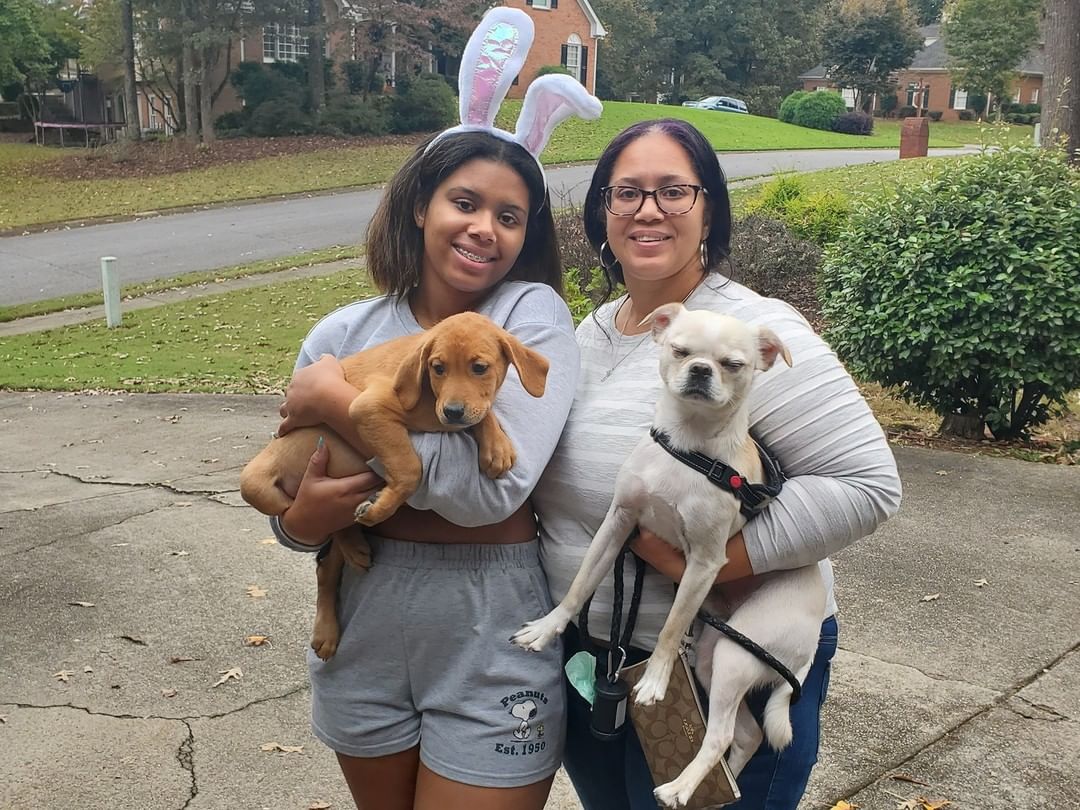 The sun was shining today and all of our rainbow litter are tucked into their forever homes! Happy life sweet babies, you were a terrific litter!