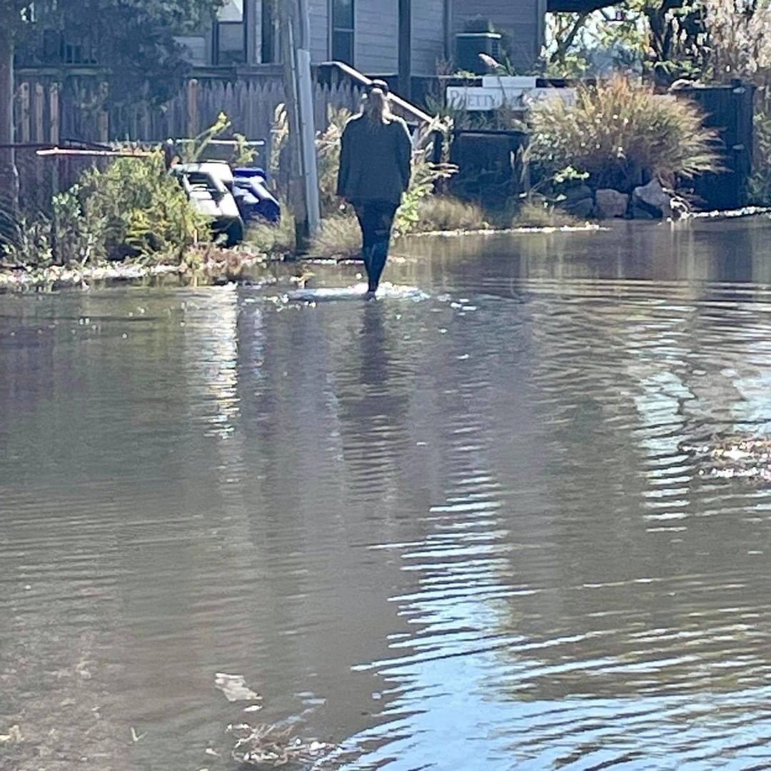 When you live on a peninsula within a peninsula (and so on…) and you care for community cats, you walk on water! 💦 It’s a real thing.

<a target='_blank' href='https://www.instagram.com/explore/tags/kingtide/'>#kingtide</a> <a target='_blank' href='https://www.instagram.com/explore/tags/kingtides/'>#kingtides</a> <a target='_blank' href='https://www.instagram.com/explore/tags/hightides/'>#hightides</a> <a target='_blank' href='https://www.instagram.com/explore/tags/walkonwater/'>#walkonwater</a> <a target='_blank' href='https://www.instagram.com/explore/tags/walkonwaterforcats/'>#walkonwaterforcats</a> <a target='_blank' href='https://www.instagram.com/explore/tags/communitycats/'>#communitycats</a>