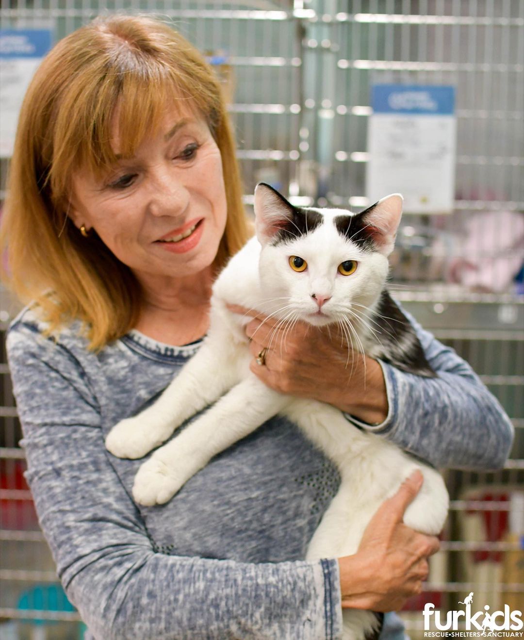 Every Furkid is special, but our Perimeter PetSmart kitties are taking the spotlight tonight!😻

We have no doubt that Randolf (who actually got adopted today!!) Mortimer, Lyra, Kip, Taffy and Pepper will be great pets, and we’re shocked these babies haven’t found homes yet! Lesley and Jan, our PetSmart volunteers, couldn’t say enough loving words about each cat: Kip is incredibly playful, Mortimer instantly cuddles up on your lap, Lyra is the queen of her cat tree castle, Pepper has a special spunk and confidence, and so much more. We’d go on, but you’ll have to meet these guys in person to experience all the love they can give! Help us give these angels a second chance during @petsmartcharities National Adoption Week! (Link in story to adopt). Thank you! 🧡🐾