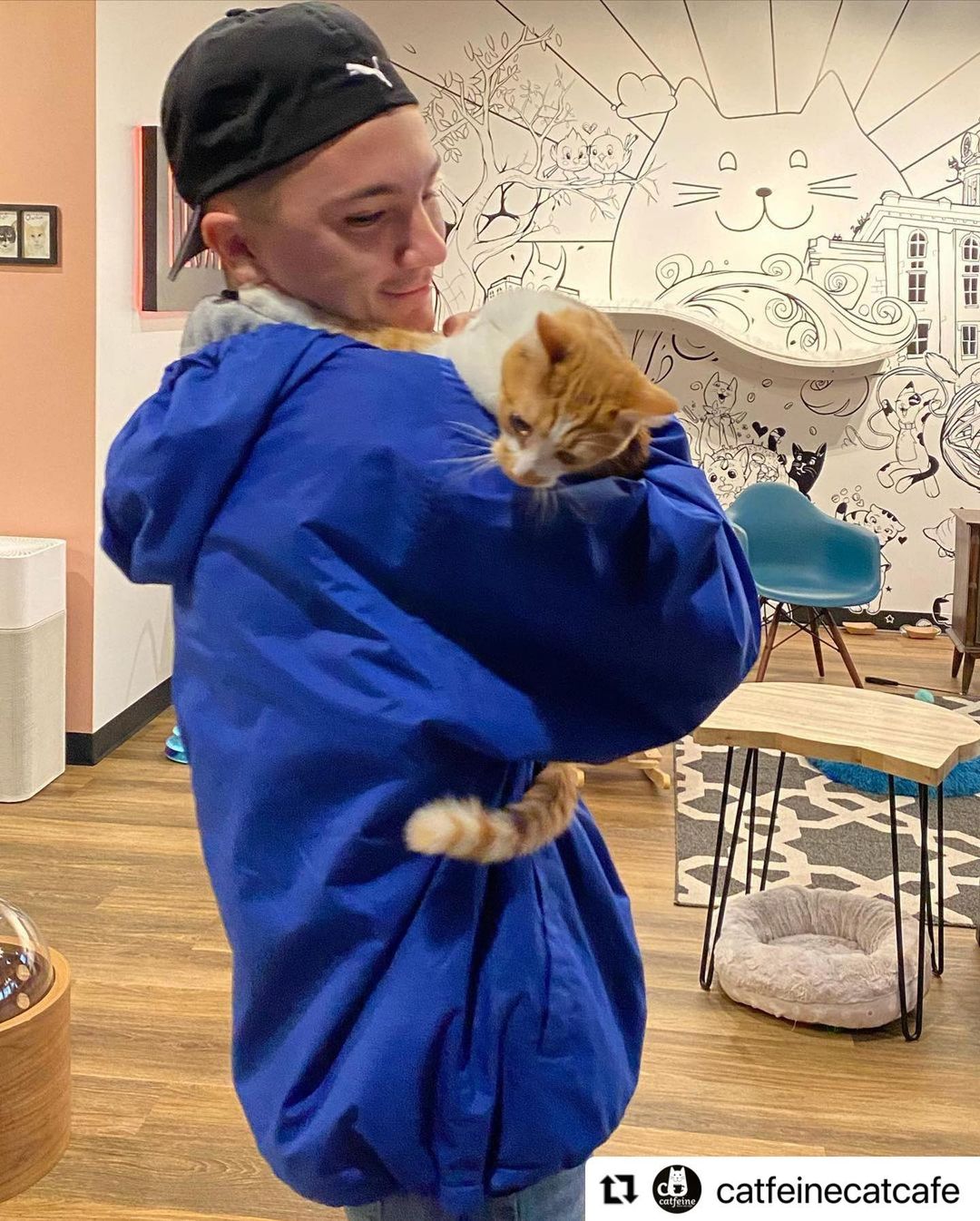 From living in a thrown away recliner outside to a warm loving home of his very own!
Our sweet boy Tiggs went home today and we’ve already gotten an update that he’s already making biscuits and grooming his new brother!! This was a tough one to let go but we are so happy for him and Josh! 🥰