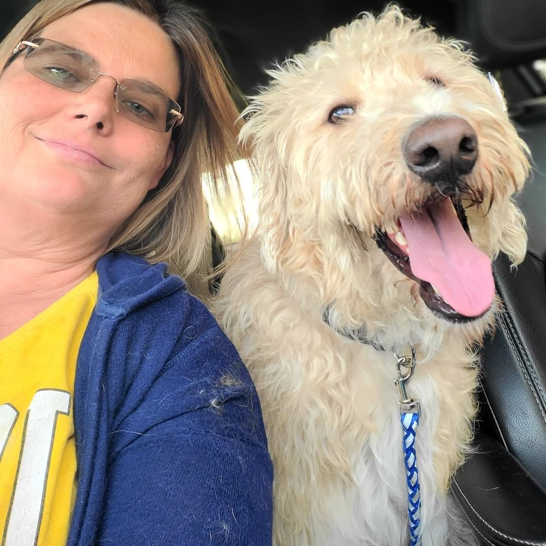 I might be a bit biased... because I looove a big goofy dog... but DENALI is perfect!!

Your guess is as good as mine when it comes to his breed. We've been told Standard Poodle, Airedale Terrier, Wolfhound or any mix in between.  But I do know he's 💯% Lovebug.

He's a big boy.... big yard a must! He's about 2 years old and very sweet.  But he's part Tigger and bouncing is his favorite thing to do,  so small children prob not best match.  He doesn't know how big he is,  and will absolutely sit on you to snuggle and watch TV, while you struggle to breath LOL. Plays well with other dogs, likes care rides, makes a sloppy mess when drinking... but who doesn't!! 

Don't miss out!! Won't last

https://bluetails.org/adoption-application