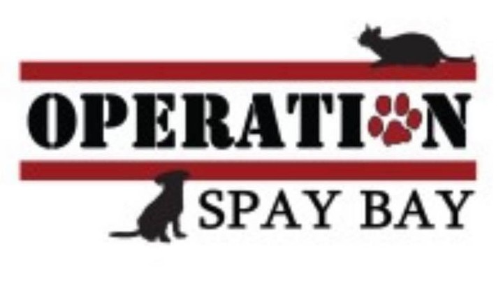 We have room in the van for dogs and cats next week!
If you need your animal spayed or neutered, at a low cost, please come into our shelter by Friday to sign up.
Cats are $40-$50
Dogs are $65-$105.
Please call us if you need more information 
850-227-1103