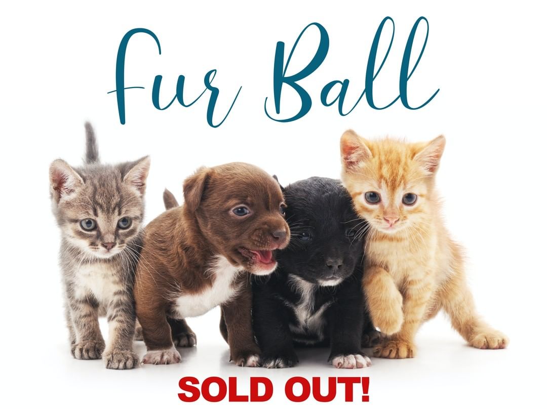 The Fur Ball is SOLD OUT! Thank you to the many generous individuals and businesses who have supported this year's ball. We are so grateful!
-------------
<a target='_blank' href='https://www.instagram.com/explore/tags/stsimons/'>#stsimons</a> <a target='_blank' href='https://www.instagram.com/explore/tags/stsimonsisland/'>#stsimonsisland</a> <a target='_blank' href='https://www.instagram.com/explore/tags/seaisland/'>#seaisland</a> <a target='_blank' href='https://www.instagram.com/explore/tags/jekyllisland/'>#jekyllisland</a> <a target='_blank' href='https://www.instagram.com/explore/tags/brunswick/'>#brunswick</a> <a target='_blank' href='https://www.instagram.com/explore/tags/goldenisles/'>#goldenisles</a> <a target='_blank' href='https://www.instagram.com/explore/tags/jacksonville/'>#jacksonville</a> <a target='_blank' href='https://www.instagram.com/explore/tags/savannah/'>#savannah</a> <a target='_blank' href='https://www.instagram.com/explore/tags/humanesociety/'>#humanesociety</a> <a target='_blank' href='https://www.instagram.com/explore/tags/adopt/'>#adopt</a> <a target='_blank' href='https://www.instagram.com/explore/tags/adoptdontshop/'>#adoptdontshop</a> <a target='_blank' href='https://www.instagram.com/explore/tags/nonprofit/'>#nonprofit</a> <a target='_blank' href='https://www.instagram.com/explore/tags/furball/'>#furball</a> <a target='_blank' href='https://www.instagram.com/explore/tags/hsscg/'>#hsscg</a>