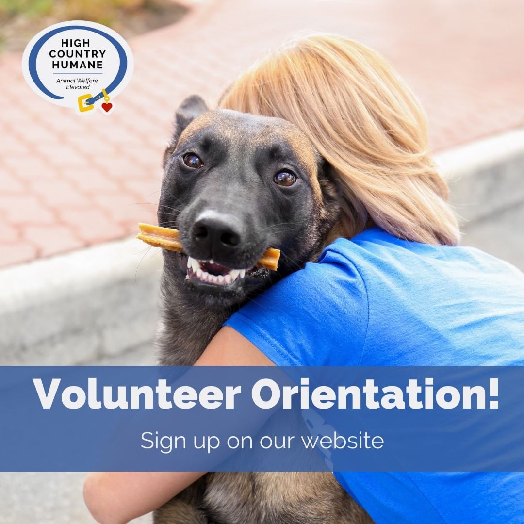 Join Our Team Today!

We are always looking for new volunteers, so be sure to sign up for Volunteer Orientation today! 😊

Dates and times can be found on our website calendar. Learn more about volunteering, how to apply, and sign up today on our website! All links in bio. 

Questions? Email volunteer@highcountryhumane.org

<a target='_blank' href='https://www.instagram.com/explore/tags/adoptdontshop/'>#adoptdontshop</a> <a target='_blank' href='https://www.instagram.com/explore/tags/pets/'>#pets</a> <a target='_blank' href='https://www.instagram.com/explore/tags/adoptashelterpet/'>#adoptashelterpet</a> <a target='_blank' href='https://www.instagram.com/explore/tags/shelterpet/'>#shelterpet</a> <a target='_blank' href='https://www.instagram.com/explore/tags/shelterpetsofinstagram/'>#shelterpetsofinstagram</a> <a target='_blank' href='https://www.instagram.com/explore/tags/animalshelter/'>#animalshelter</a> <a target='_blank' href='https://www.instagram.com/explore/tags/animalrescue/'>#animalrescue</a> <a target='_blank' href='https://www.instagram.com/explore/tags/humanesociety/'>#humanesociety</a> <a target='_blank' href='https://www.instagram.com/explore/tags/highcountryhumane/'>#highcountryhumane</a> <a target='_blank' href='https://www.instagram.com/explore/tags/flagstaff/'>#flagstaff</a> <a target='_blank' href='https://www.instagram.com/explore/tags/flagstaffarizona/'>#flagstaffarizona</a> <a target='_blank' href='https://www.instagram.com/explore/tags/arizona/'>#arizona</a>