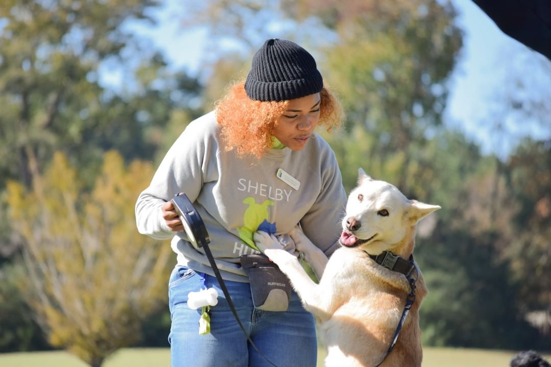 2021 Bark in the Park was a success! Don't miss all the photos in our Facebook album for the event that captured the fun had by pets and their pawrents, Shelby Humane’s adoptable dogs (many that were adopted!) 👏🏻 Enjoy photos of the costume contest including the winners 🥇, and the always popular weenie dog race. 🌭 A big thanks to Veterans’ Park in Alabaster, our wonderful vendors, sponsors, staff, and volunteers that participated. And we appreciate all the pet parents that brought their kitties and doggies to the vaccine and microchip clinic; our capable medical team and volunteers were able to see almost 300 pets. 🤩
~Stay tuned for the family and pet portrait photos to be posted soon for all those that stopped by our “PawParazzi” booth, sponsored by Canine Country Club. <a target='_blank' href='https://www.instagram.com/explore/tags/veteransparkalabaster/'>#veteransparkalabaster</a>