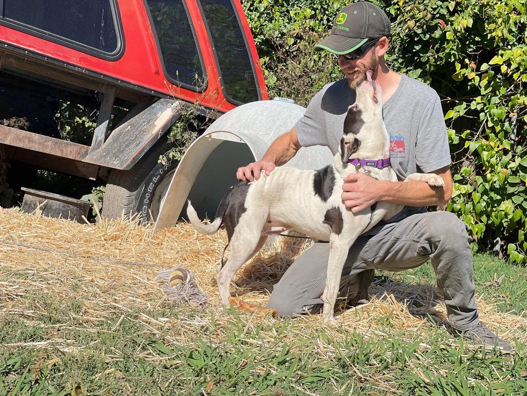 Woo hoo! Brella is unchained! Thank you to our amazing @unchainok volunteers who knocked out this fencing project in just one day, so Brella would not have to be chained/tethered 24/7 in her yard! We appreciate all of their hard work and dedication to improving the lives of chained dogs in our community. 

Thank you to everyone who donated to the supplies for this project. Brella is a happy girl who now has so much room to run and play in a safe yard. 

<a target='_blank' href='https://www.instagram.com/explore/tags/StopThePain/'>#StopThePain</a> <a target='_blank' href='https://www.instagram.com/explore/tags/BreakTheChain/'>#BreakTheChain</a> <a target='_blank' href='https://www.instagram.com/explore/tags/unchained/'>#unchained</a> <a target='_blank' href='https://www.instagram.com/explore/tags/tulsa/'>#tulsa</a> <a target='_blank' href='https://www.instagram.com/explore/tags/tulsaoklahoma/'>#tulsaoklahoma</a> <a target='_blank' href='https://www.instagram.com/explore/tags/tulsaok/'>#tulsaok</a> <a target='_blank' href='https://www.instagram.com/explore/tags/tulsapets/'>#tulsapets</a>