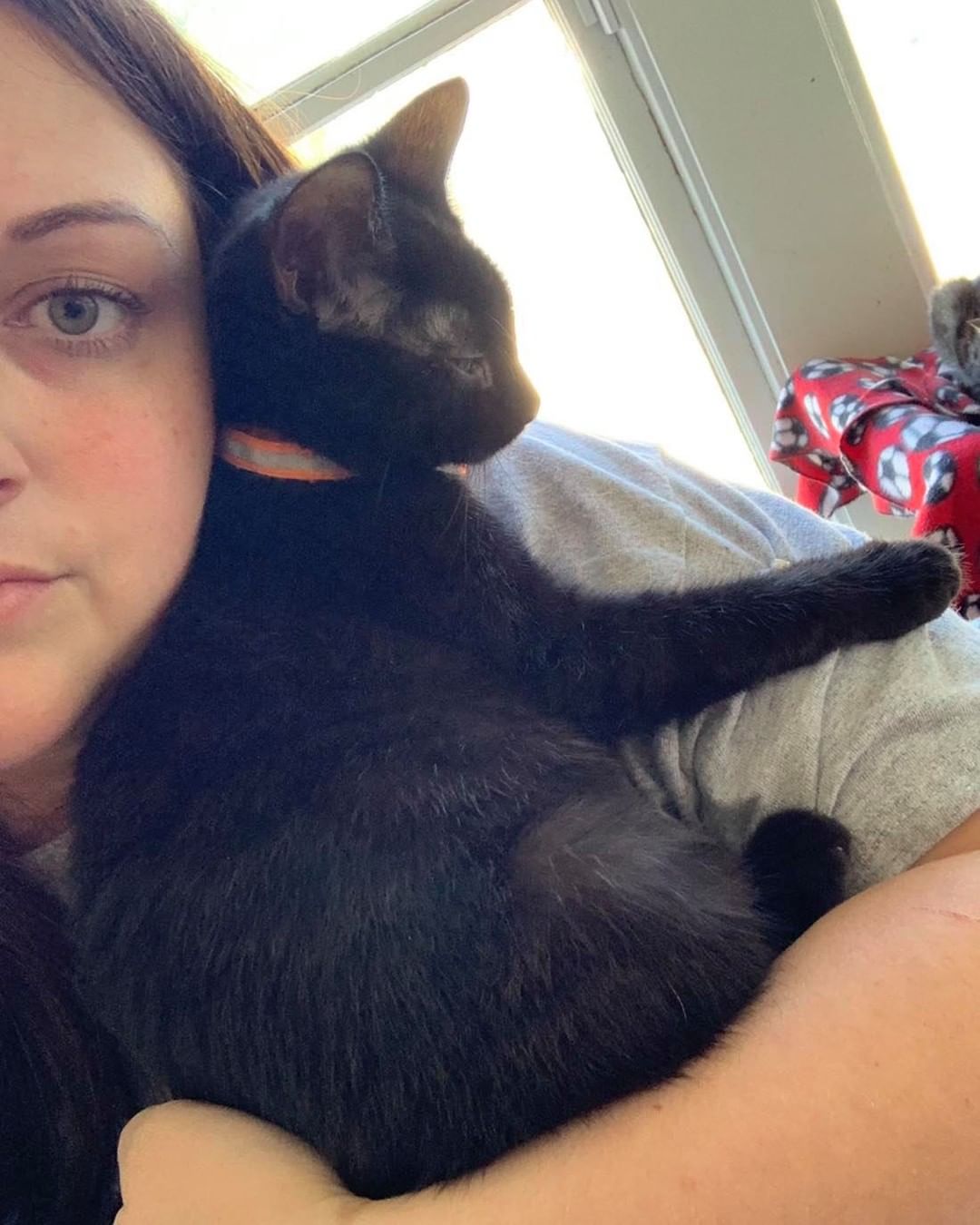 Our ninth black kitty for November is Tahiti! This girl loves to be held and snuggled! She is super sweet and just wants to give you all her love 💕 Tahiti is 6 months old, spayed, FIV/FELV negative and up to date on vaccines. To put in an application click on the link below. 

https://www.sbanimalrescue.org/adopt