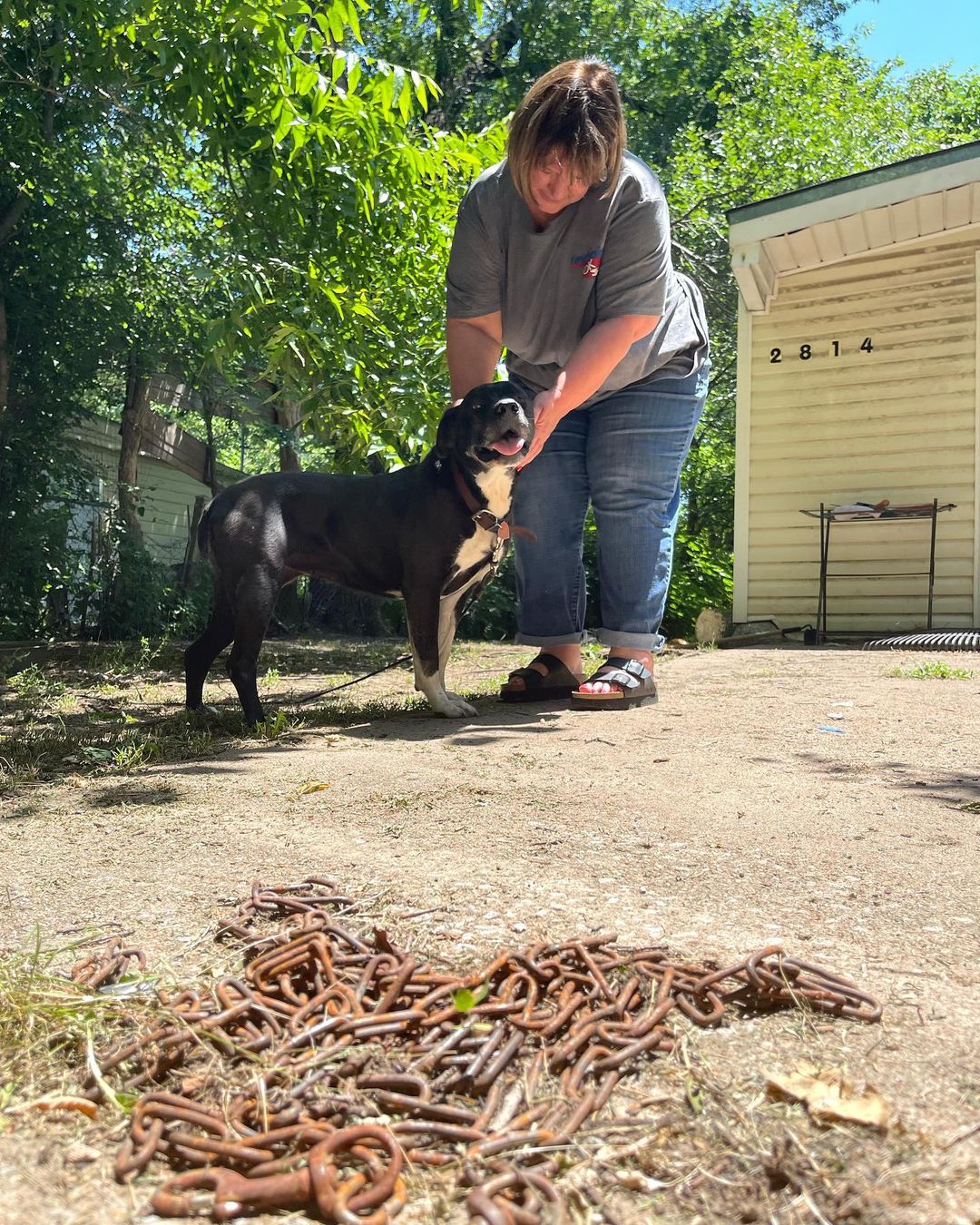 This past summer, @sophiegamand stopped in Oklahoma during her cross-country rescue road trip. She spent the day with our @unchainok team as we visited chained dogs throughout the Tulsa area. We also stopped by the home of an Unchain OK client whose pups benefited from a fence building project. Today, her two dogs are still chain free 2 years later. 

We sincerely appreciate Sophie for all she is doing to spread awareness about the sad reality of constantly chained and tethered dogs. We know pictures of chained dogs are incredibly hard to see. This gig is not for the faint of heart. And there are always cries for us to 