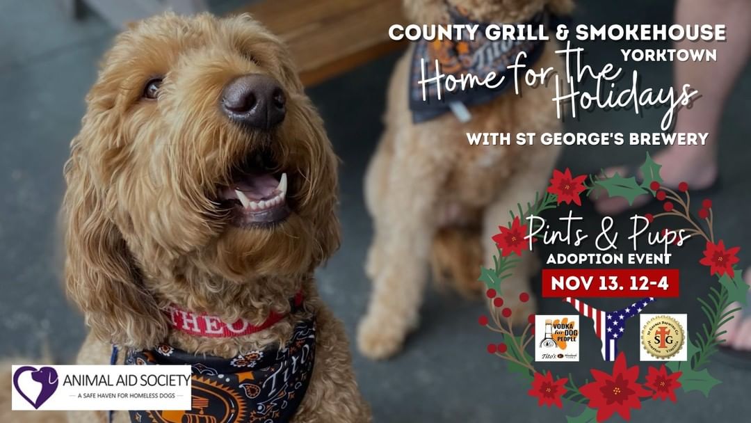 🗓Mark your calendars!🗓 Pints & Pups: Home for the Holidays is this <a target='_blank' href='https://www.instagram.com/explore/tags/Saturday/'>#Saturday</a> (11/13) from 12 - 4pm at County Grill!

County Grill is hosting a special Pints & Pups <a target='_blank' href='https://www.instagram.com/explore/tags/adoption/'>#adoption</a> event with The St. George Brewing Company and Animal Aid Society! 🍻🐶❤️🎄

Help our <a target='_blank' href='https://www.instagram.com/explore/tags/pups/'>#pups</a> find a <a target='_blank' href='https://www.instagram.com/explore/tags/Home/'>#Home</a> for the <a target='_blank' href='https://www.instagram.com/explore/tags/Holidays/'>#Holidays</a> while you enjoy a cold <a target='_blank' href='https://www.instagram.com/explore/tags/beer/'>#beer</a>, hot spiked <a target='_blank' href='https://www.instagram.com/explore/tags/cider/'>#cider</a>, raffles, happy <a target='_blank' href='https://www.instagram.com/explore/tags/tails/'>#tails</a>, and adorably <a target='_blank' href='https://www.instagram.com/explore/tags/adoptable/'>#adoptable</a> <a target='_blank' href='https://www.instagram.com/explore/tags/dogs/'>#dogs</a>!

<a target='_blank' href='https://www.instagram.com/explore/tags/joinus/'>#joinus</a> <a target='_blank' href='https://www.instagram.com/explore/tags/pintsandpups/'>#pintsandpups</a> <a target='_blank' href='https://www.instagram.com/explore/tags/homefortheholidays/'>#homefortheholidays</a> <a target='_blank' href='https://www.instagram.com/explore/tags/adopt/'>#adopt</a> <a target='_blank' href='https://www.instagram.com/explore/tags/stgeorgebrewingco/'>#stgeorgebrewingco</a> <a target='_blank' href='https://www.instagram.com/explore/tags/countygrill/'>#countygrill</a> <a target='_blank' href='https://www.instagram.com/explore/tags/animalaidsociety/'>#animalaidsociety</a> <a target='_blank' href='https://www.instagram.com/explore/tags/yorktown/'>#yorktown</a> <a target='_blank' href='https://www.instagram.com/explore/tags/hamptonva/'>#hamptonva</a>