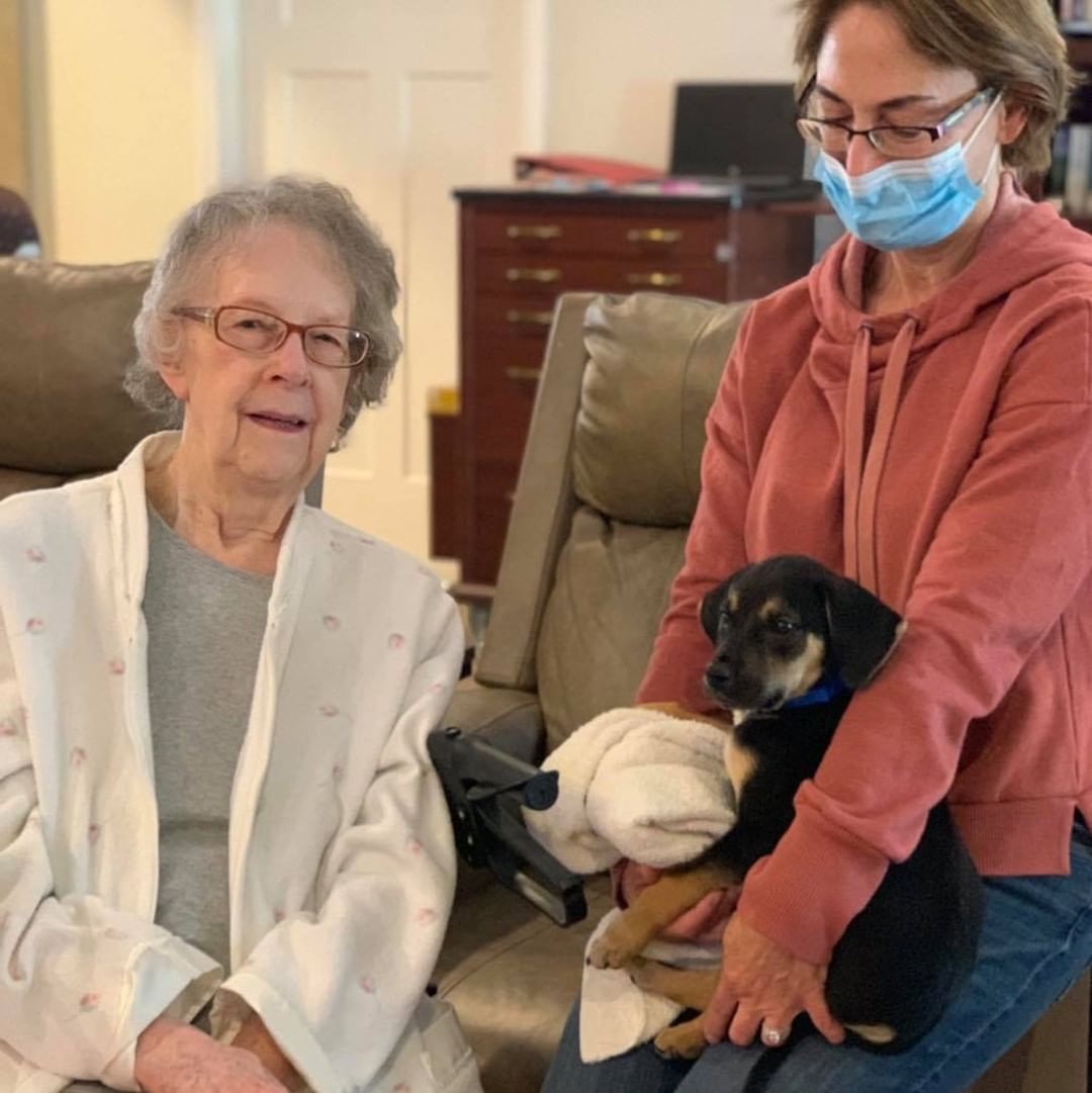 Another great day at Maplewood Lane Assisted Living! Thank you ladies for letting us bring some furry friends to visit. Everyone enjoyed the visit and we can't wait to come again next month. 

Visit https://www.shelbyhumane.org/volunteer to learn more about volunteer opportunities and outreach programs with Shelby Humane!