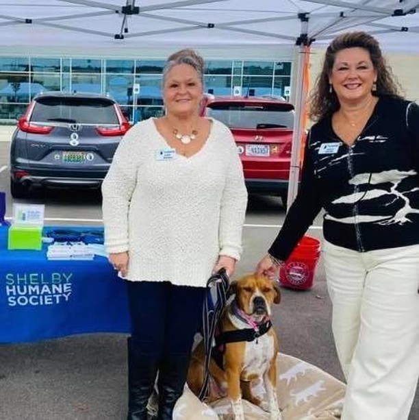 This November, Shelby Humane would like to give thanks. We will spend this month thanking our staff, volunteers, donors, and supporters for helping us this year.

We want to start by thanking Best Friends of Shelby Humane. BF of SH consists of an amazing group of volunteers! They volunteer at Shelby Humane, host fundraisers, and are currently spending this week thanking the staff at Shelby Humane.

Thank you for all that you do! 
If you would like to join this wonderful group, please email bestfriends@shelbyhumane.org