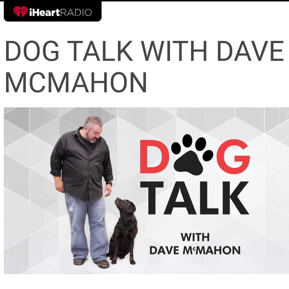 🎙️Our amazing foster coordinator, Michelle, will be live on Dog Talk with Dave McMahon tonight. Set your radio dials to 610 AM CKTB to listen or watch the live broadcast of the radio show starting at 6:10 PM on Newstalk 610 CKTB's Facebook page. 

📱Call the studio line at (905) 688-2582, text the studio at 61010, or comment on Facebook  with your questions for Dave and Michelle as they go live in 15 minutes! 

<a target='_blank' href='https://www.instagram.com/explore/tags/dogtalk/'>#dogtalk</a> <a target='_blank' href='https://www.instagram.com/explore/tags/davemcmahon/'>#davemcmahon</a> <a target='_blank' href='https://www.instagram.com/explore/tags/radio/'>#radio</a> <a target='_blank' href='https://www.instagram.com/explore/tags/rescue/'>#rescue</a> <a target='_blank' href='https://www.instagram.com/explore/tags/doglife/'>#doglife</a> <a target='_blank' href='https://www.instagram.com/explore/tags/charity/'>#charity</a> <a target='_blank' href='https://www.instagram.com/explore/tags/localcharity/'>#localcharity</a> <a target='_blank' href='https://www.instagram.com/explore/tags/askaquestion/'>#askaquestion</a> <a target='_blank' href='https://www.instagram.com/explore/tags/fosterdogs/'>#fosterdogs</a> <a target='_blank' href='https://www.instagram.com/explore/tags/rescuesaveslives/'>#rescuesaveslives</a> <a target='_blank' href='https://www.instagram.com/explore/tags/ourhomestc/'>#ourhomestc</a> <a target='_blank' href='https://www.instagram.com/explore/tags/niagara/'>#niagara</a> <a target='_blank' href='https://www.instagram.com/explore/tags/catrescue/'>#catrescue</a> <a target='_blank' href='https://www.instagram.com/explore/tags/dogrescue/'>#dogrescue</a> <a target='_blank' href='https://www.instagram.com/explore/tags/petsaliveniagara/'>#petsaliveniagara</a>