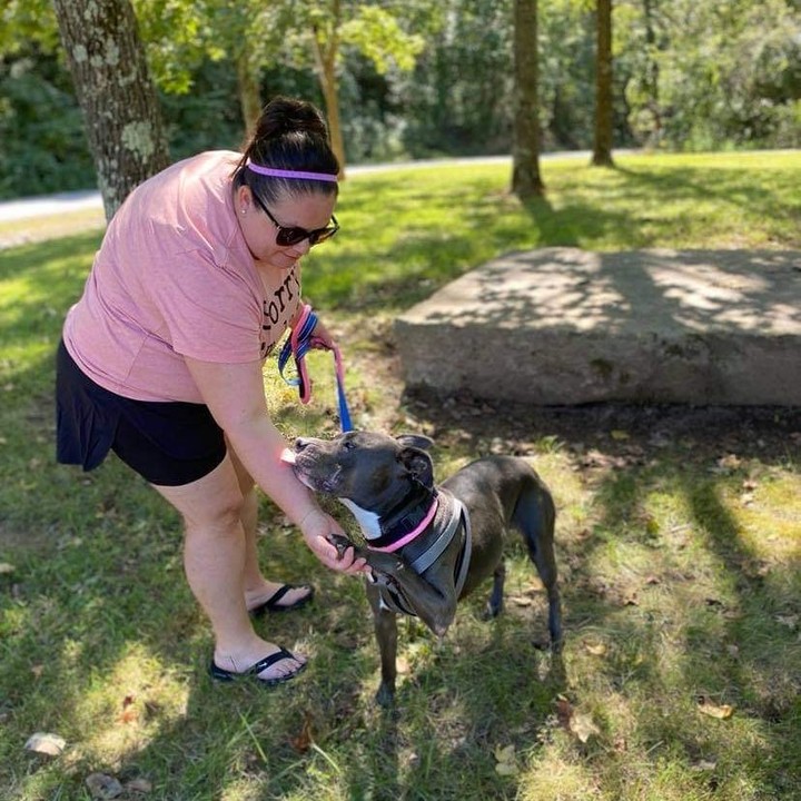 Zena participates in our rent-a-dog program and was on a recent outing and was a delight to have out for the day. 