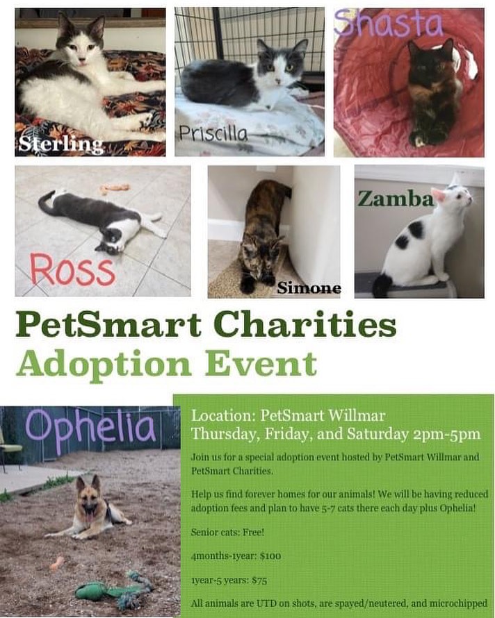 Join us for our special adoption event this weekend thanks to @petsmartcharities