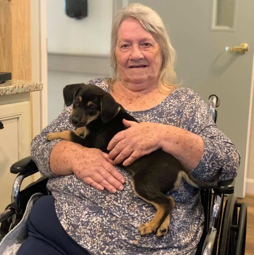 Another great day at Maplewood Lane Assisted Living! Thank you ladies for letting us bring some furry friends to visit. Everyone enjoyed the visit and we can't wait to come again next month. 

Visit https://www.shelbyhumane.org/volunteer to learn more about volunteer opportunities and outreach programs with Shelby Humane!