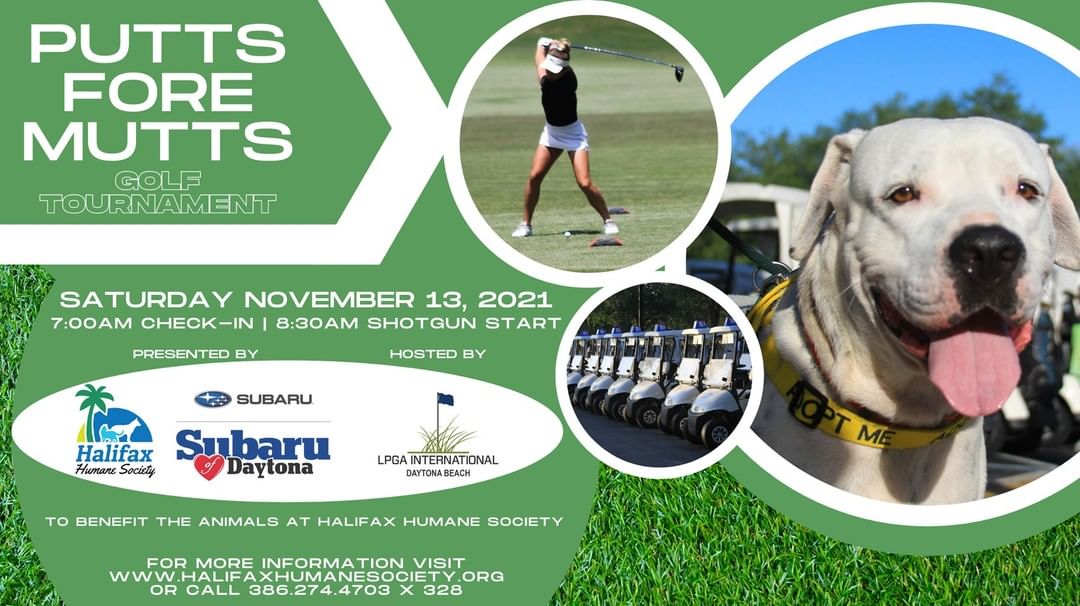 Halifax Humane Society Putts Fore Mutts Golf Tournament sponsored by Subaru of Daytona

We still have slots available. Register today at  https://novembergolf.givesmart.com

Saturday, November 13th at LPGA International Golf Club.
LPGA Blvd. just west of I-95.

Check-in begins at 7:00 am. Shotgun start at 8:00 am 18-hole scramble-best ball event. 

$125 per golfer includes cart, lunch provided for all participants, and unlimited range balls prior to the tournament.

Hole-in-One Challenge with a brand new Subaru courtesy of Subaru of Daytona!

Save time and purchase your add-ons in advance.
https://e.givesmart.com/events/m9B/

$10 ~ Raffle 
$10 per arms-length 
Many great raffle items available

$10 ~ 50/50 Raffle
$10 per arms-length
Winner gets 50% of the profits
 
$10 ~ Play it Forward
Includes BOTH Hole <a target='_blank' href='https://www.instagram.com/explore/tags/9/'>#9</a> and Hold <a target='_blank' href='https://www.instagram.com/explore/tags/13/'>#13</a>
Men tee off from 200-yard marker
Women tee off from 150-yard marker

$5 ~ Mulligans
Up to 4 allowed per player!

$5 ~ Poker Hands
Prize for the best hand
No limit - the more you buy the better your odds!
All proceeds benefit our community's animals! Register today.